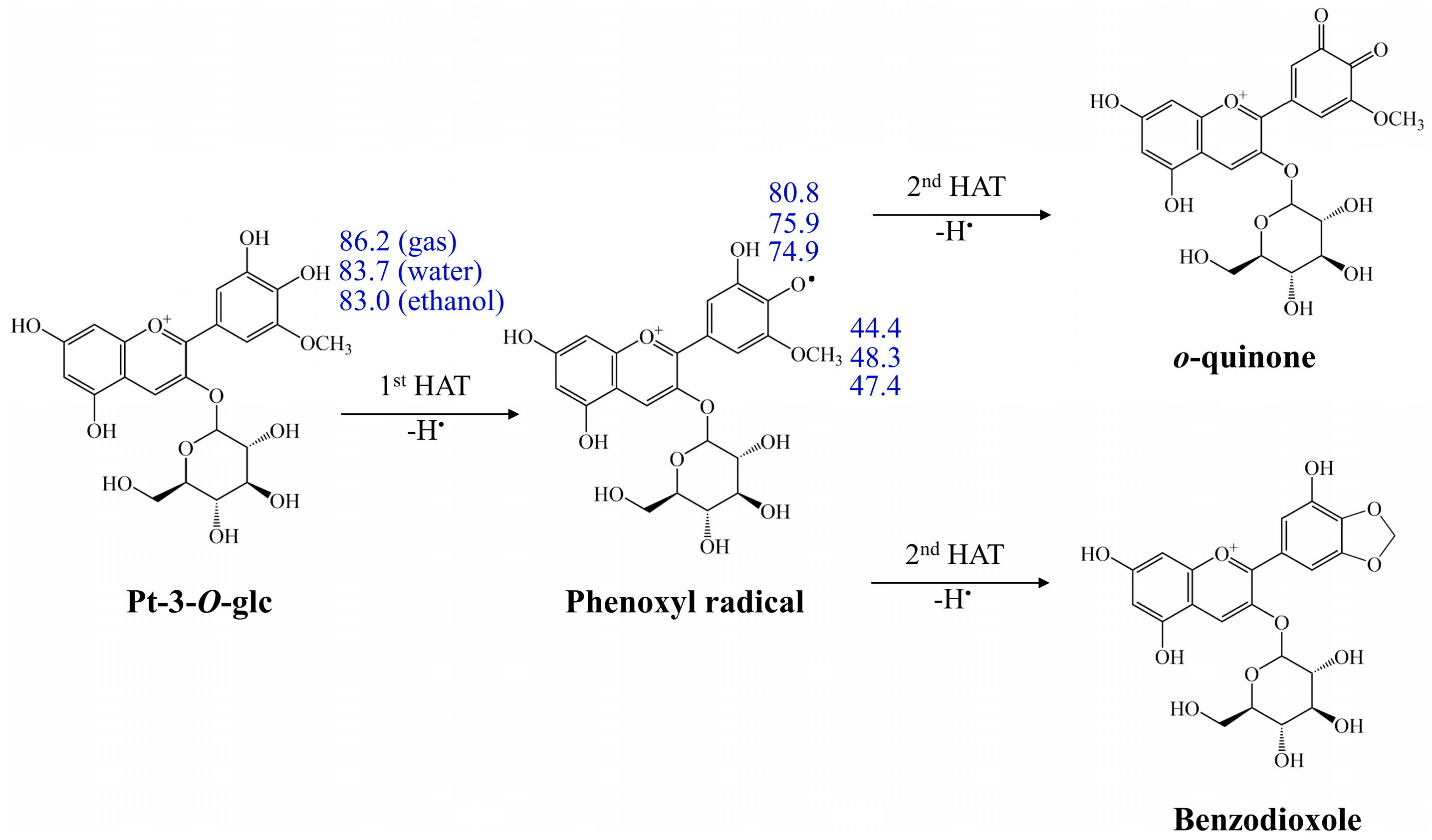 Antioxidants 13 01117 g002