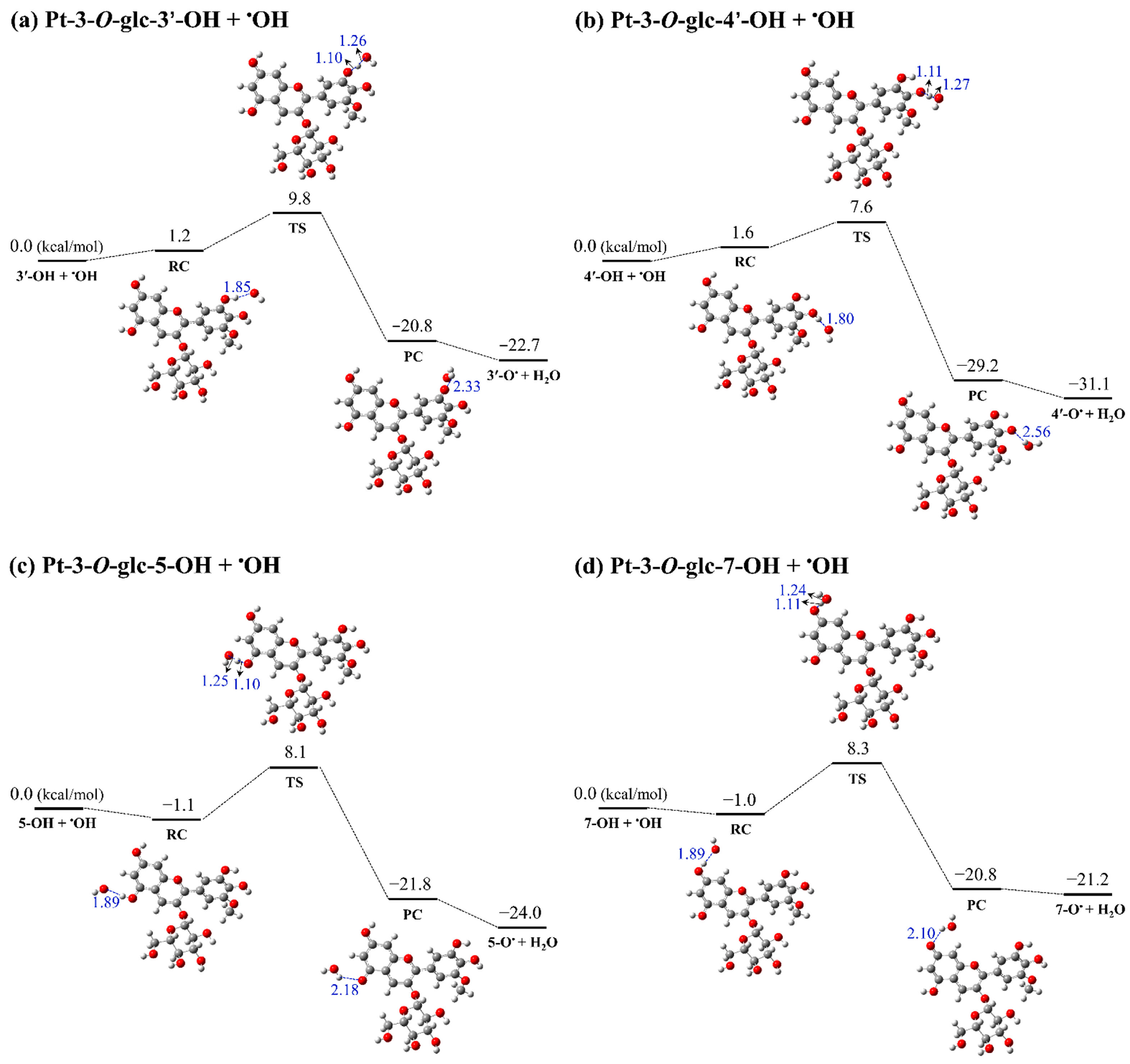 Antioxidants 13 01117 g003