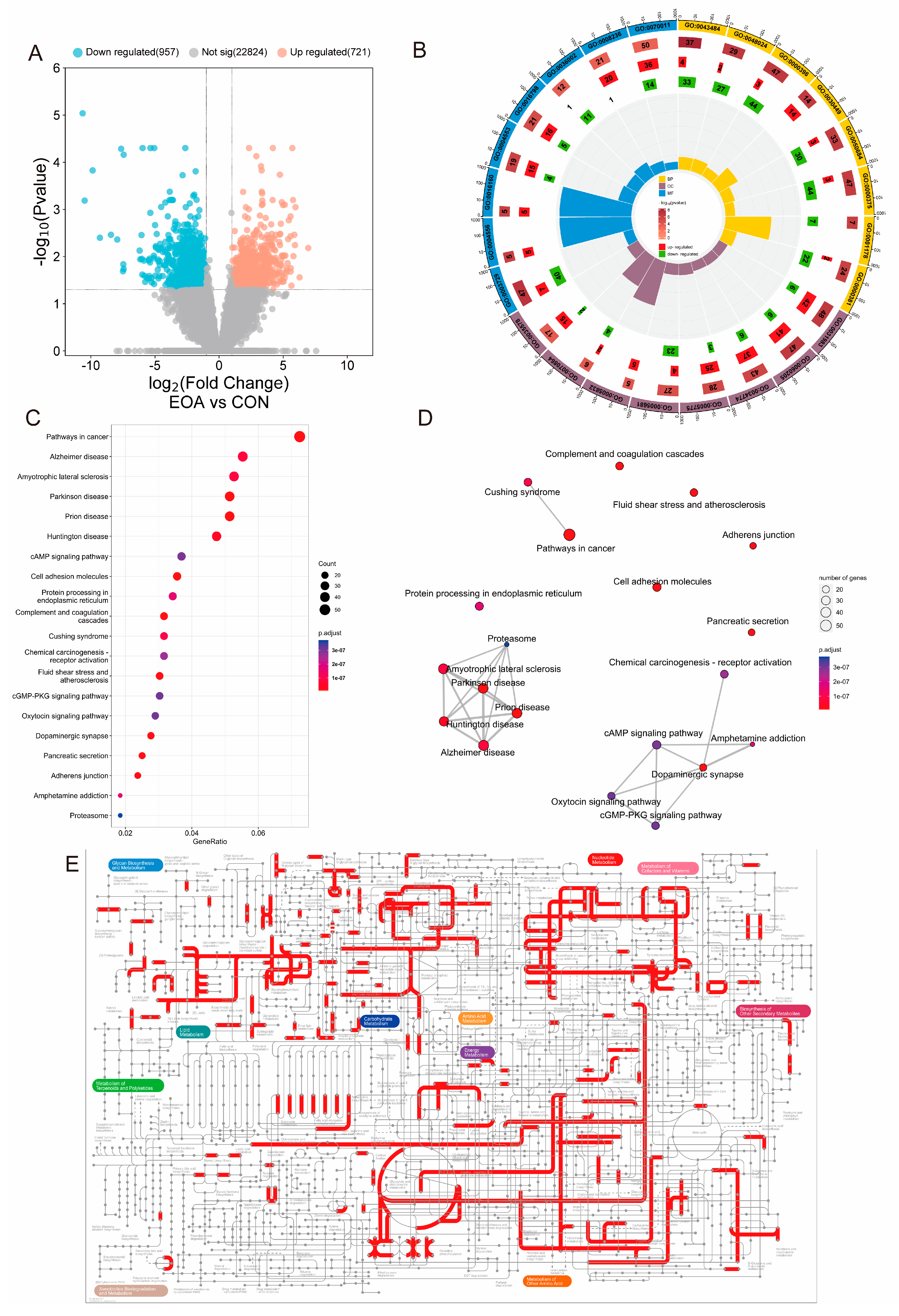 Antioxidants 13 01118 g002