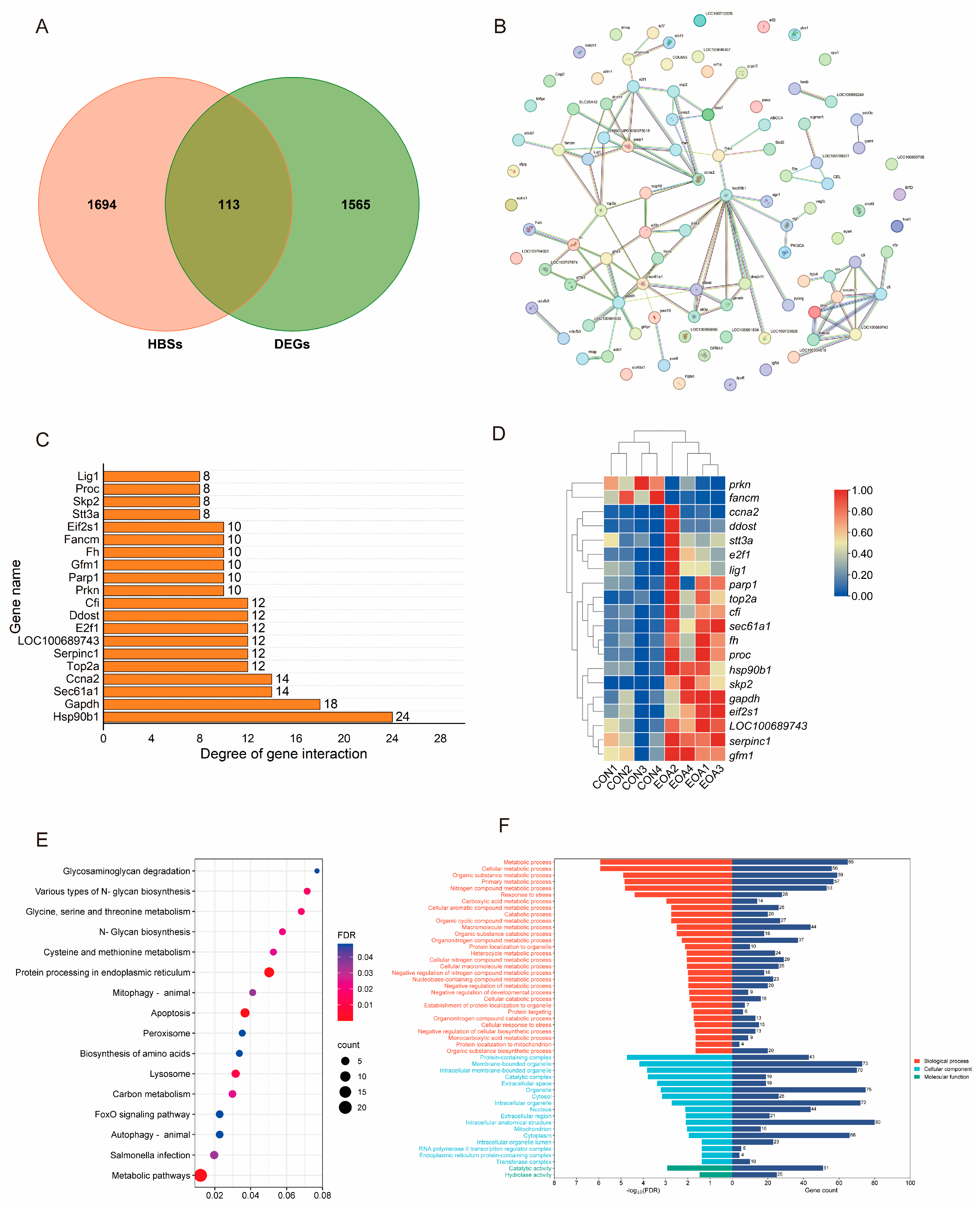 Antioxidants 13 01118 g003