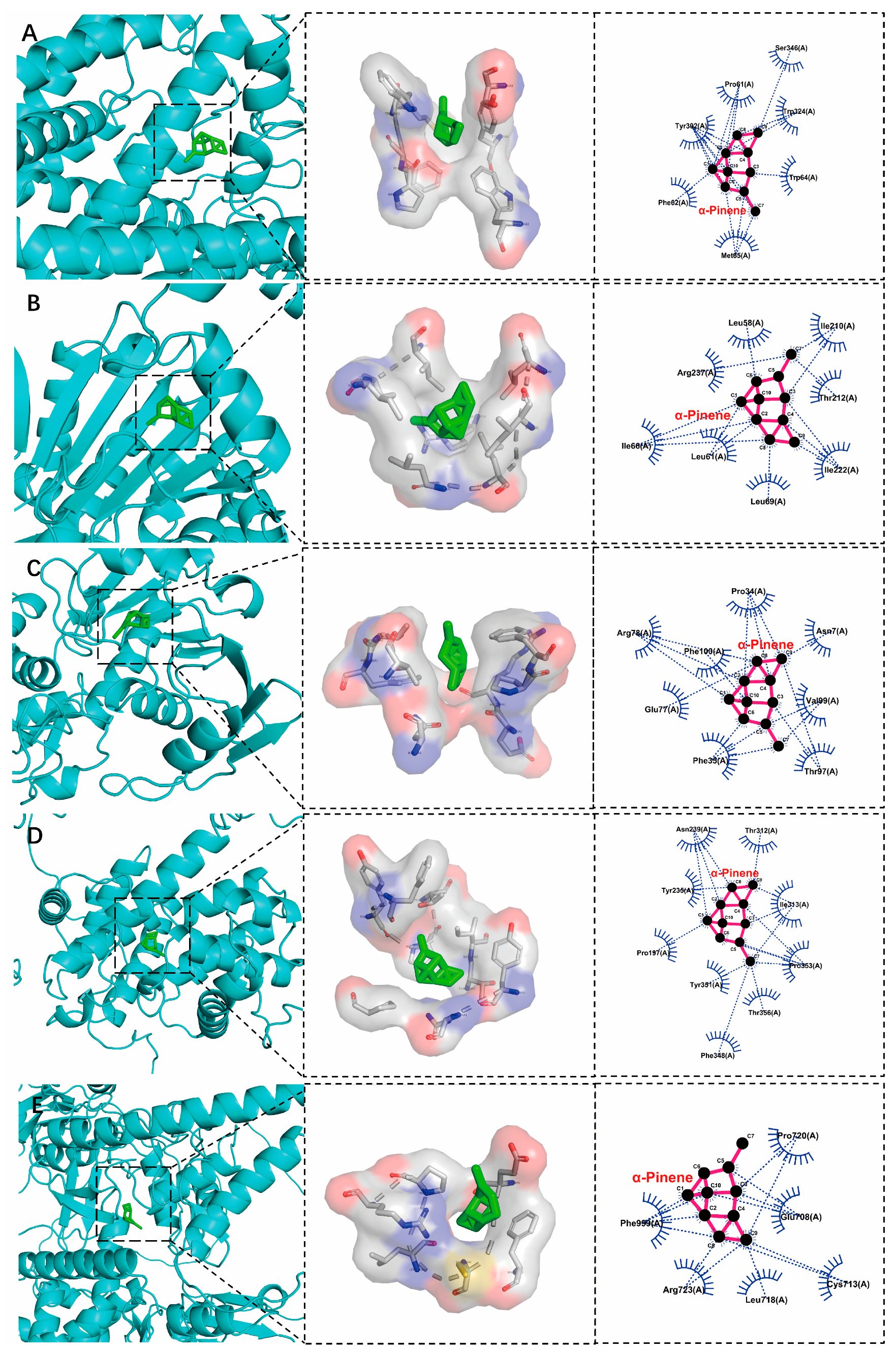 Antioxidants 13 01118 g005