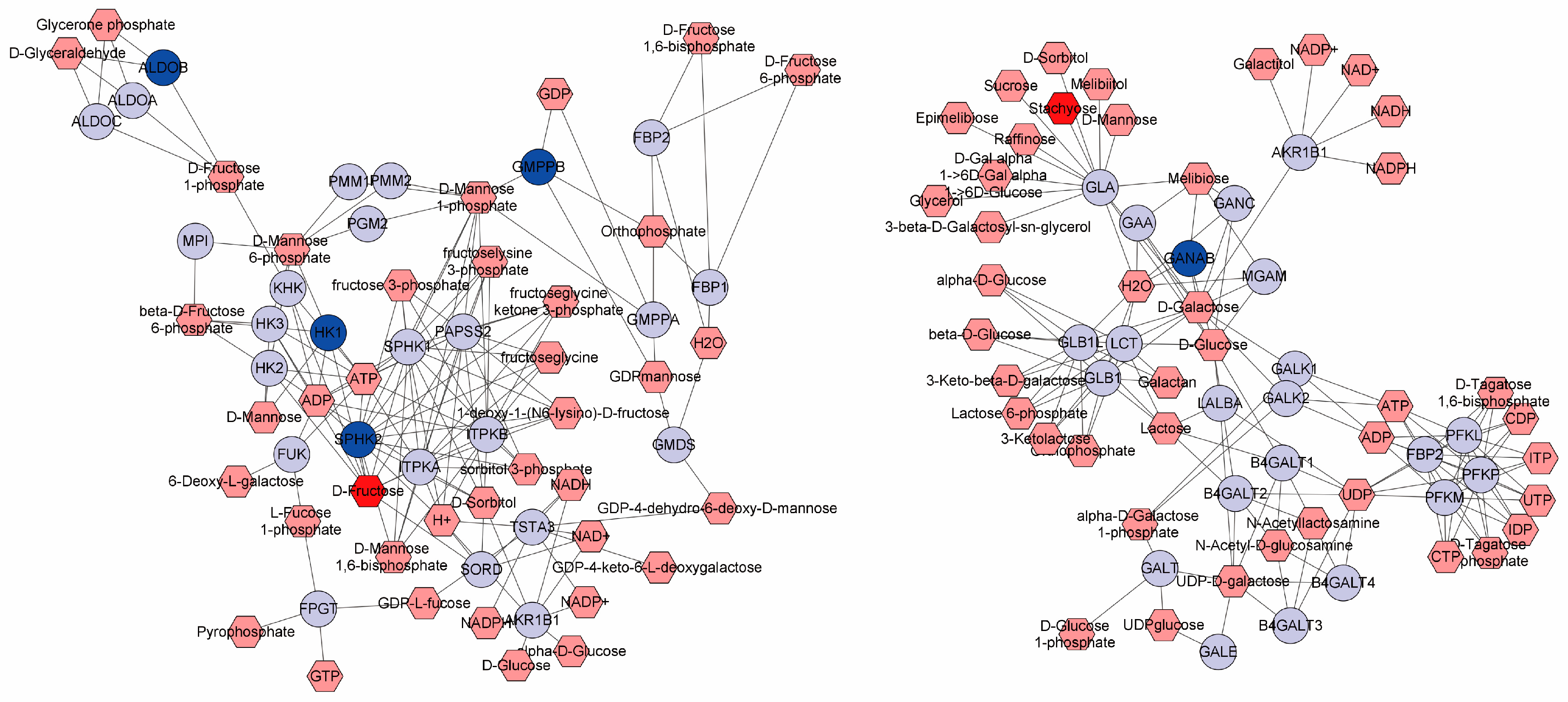 Antioxidants 13 01118 g007