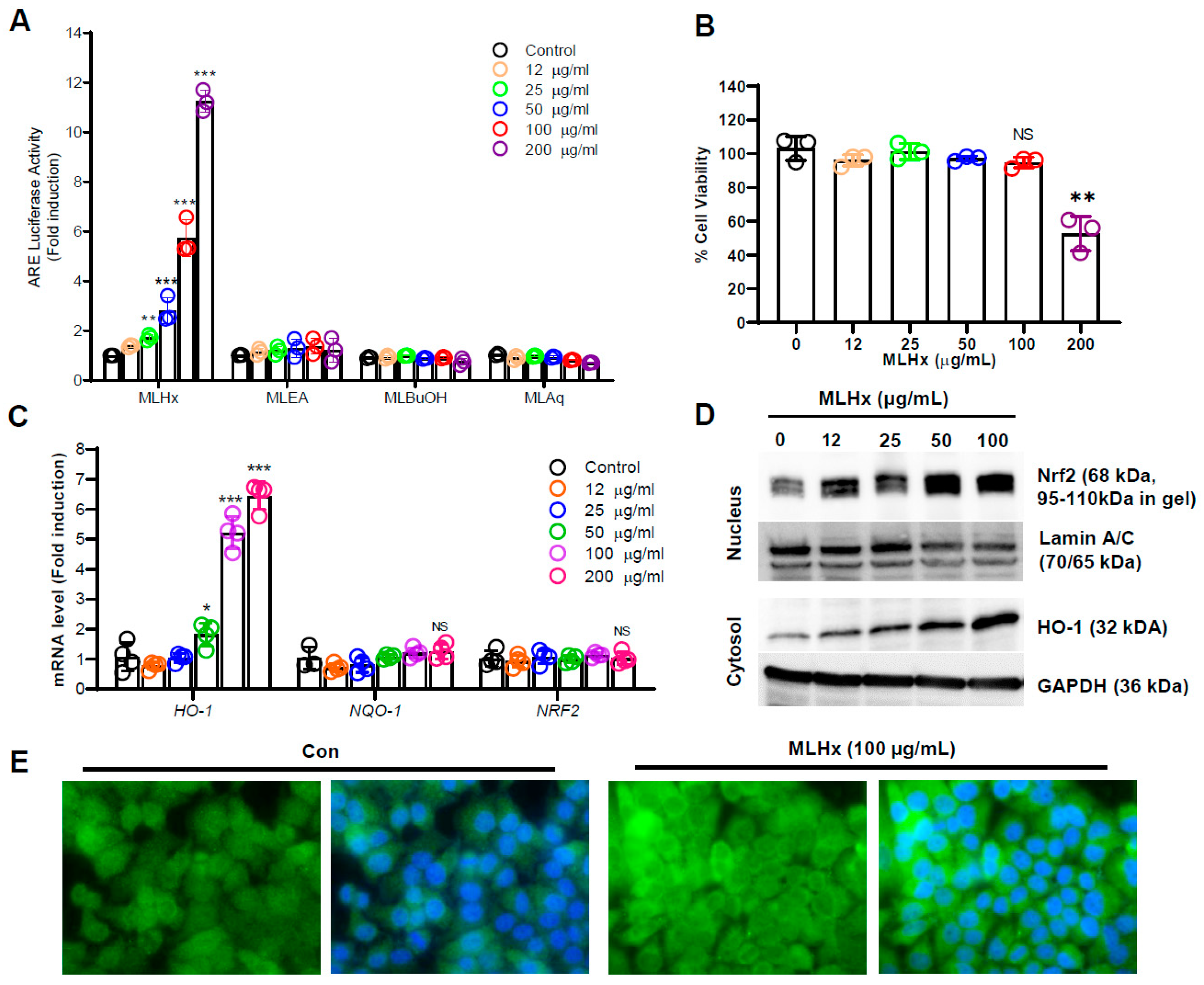 Antioxidants 13 01119 g001