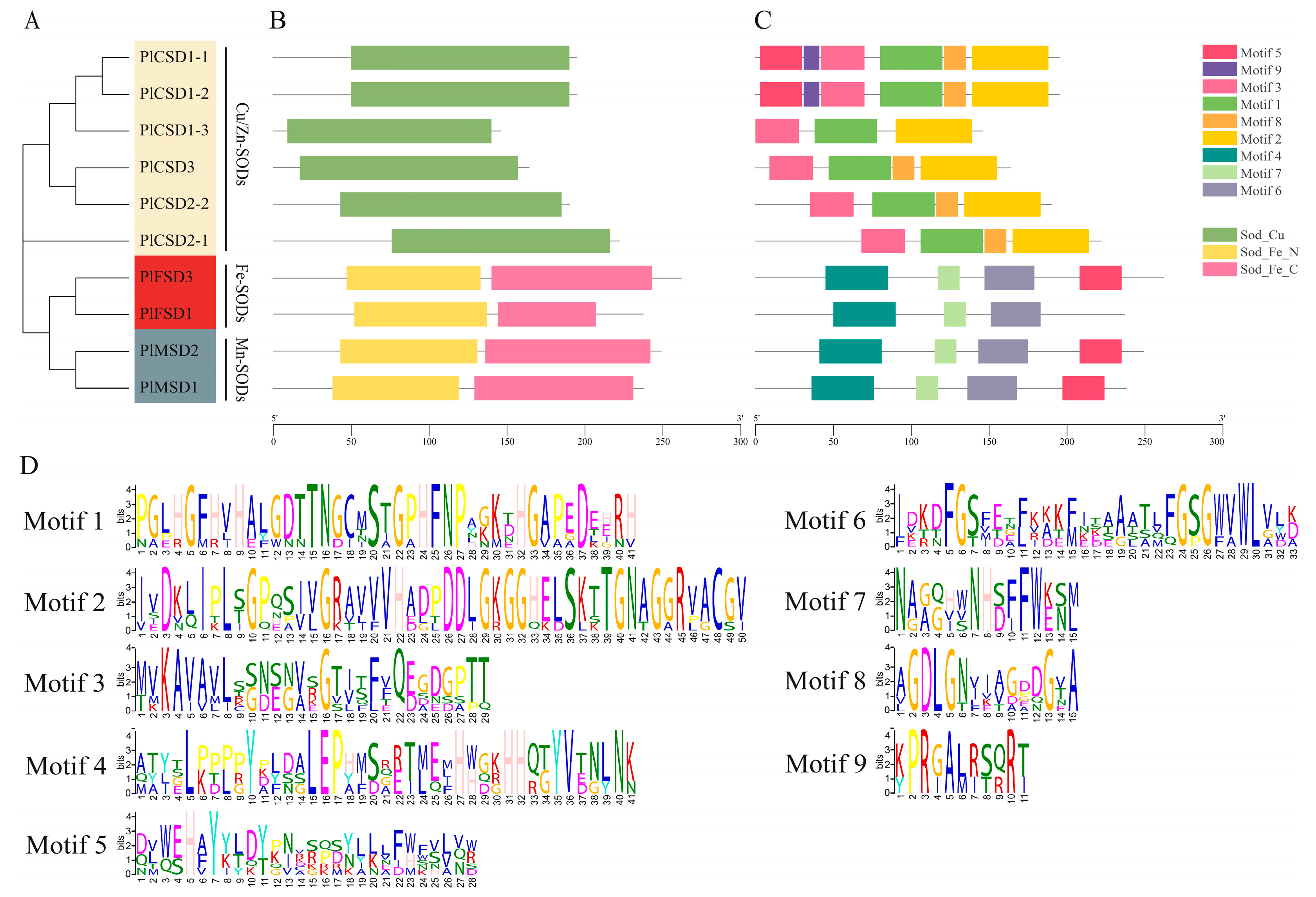 Antioxidants 13 01128 g003