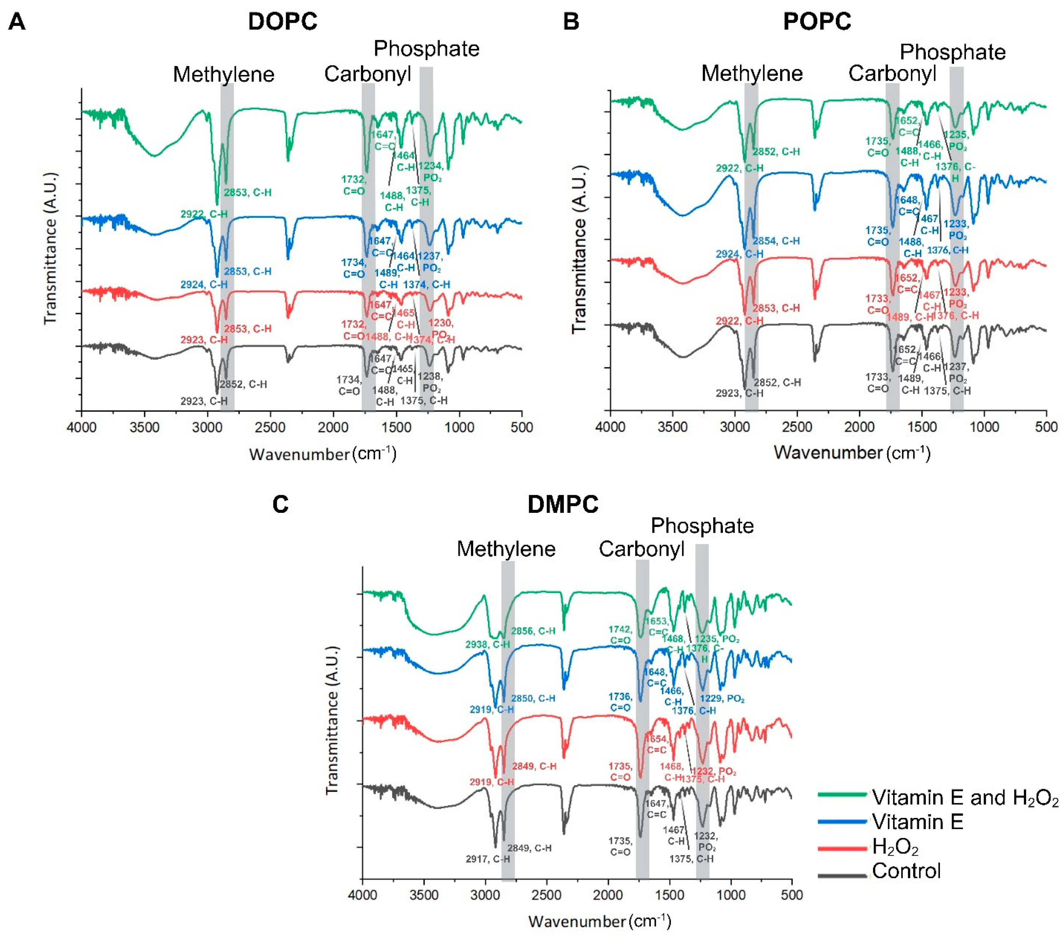 Antioxidants 13 01135 g002