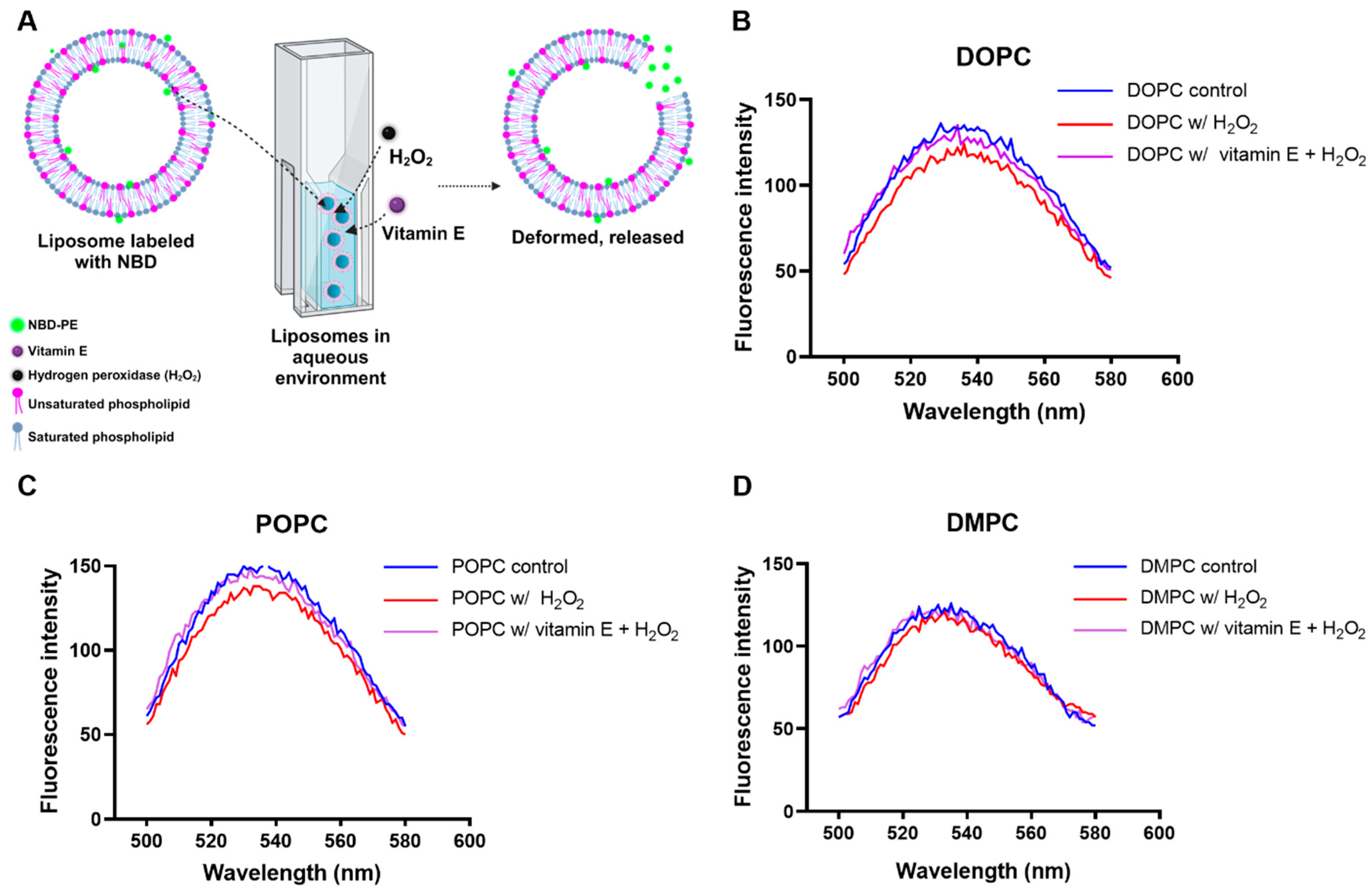 Antioxidants 13 01135 g004
