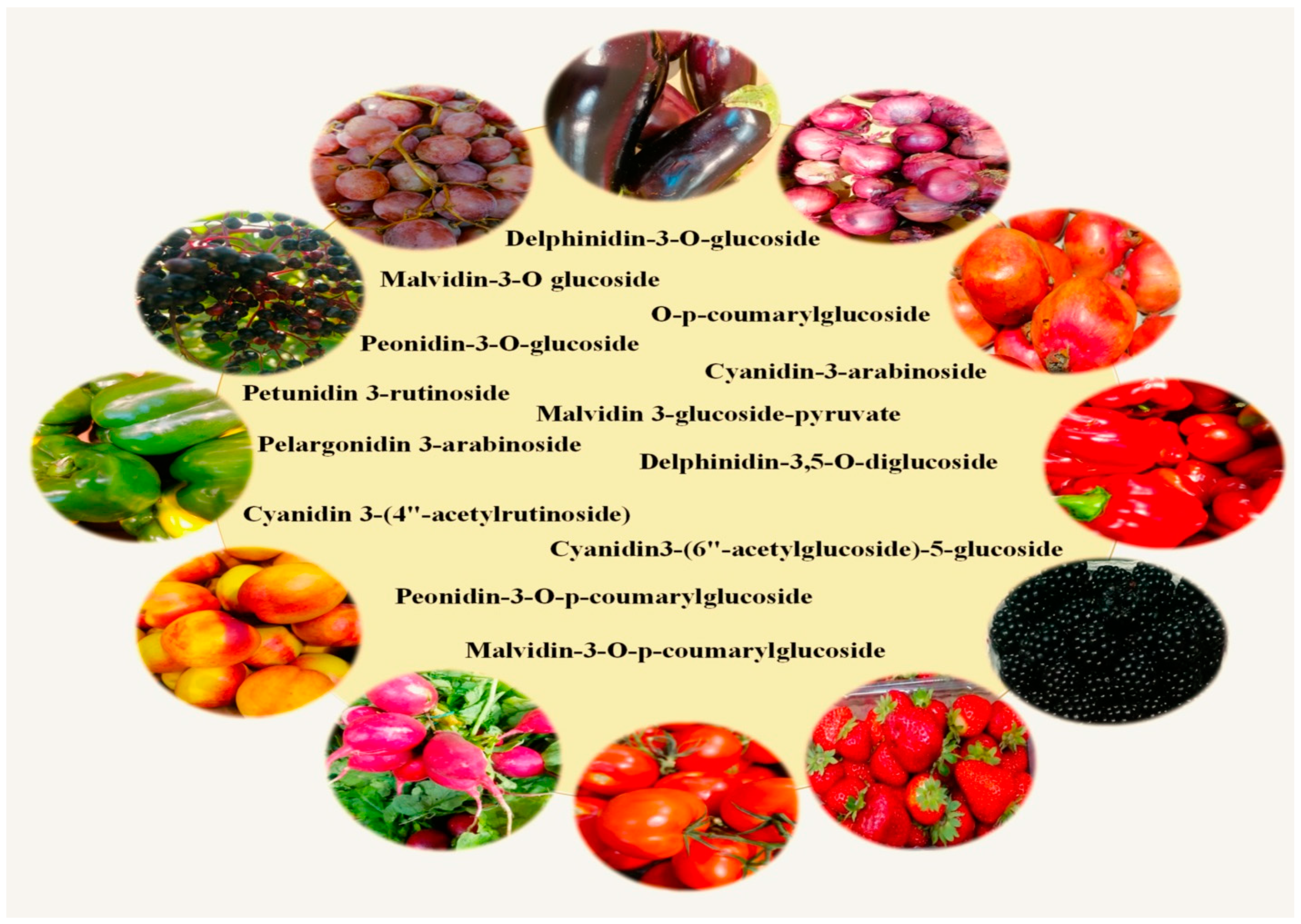 Antioxidants 13 01143 g001