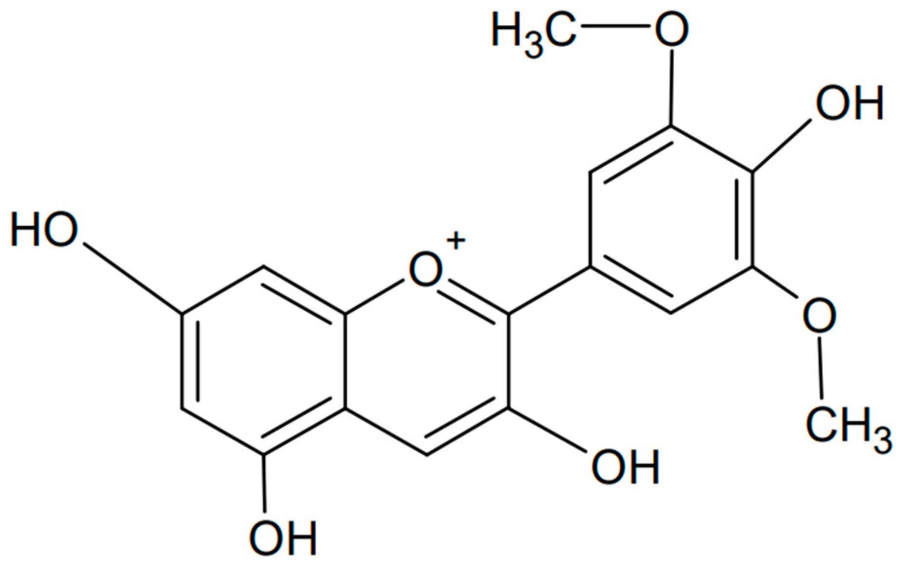 Antioxidants 13 01143 g009