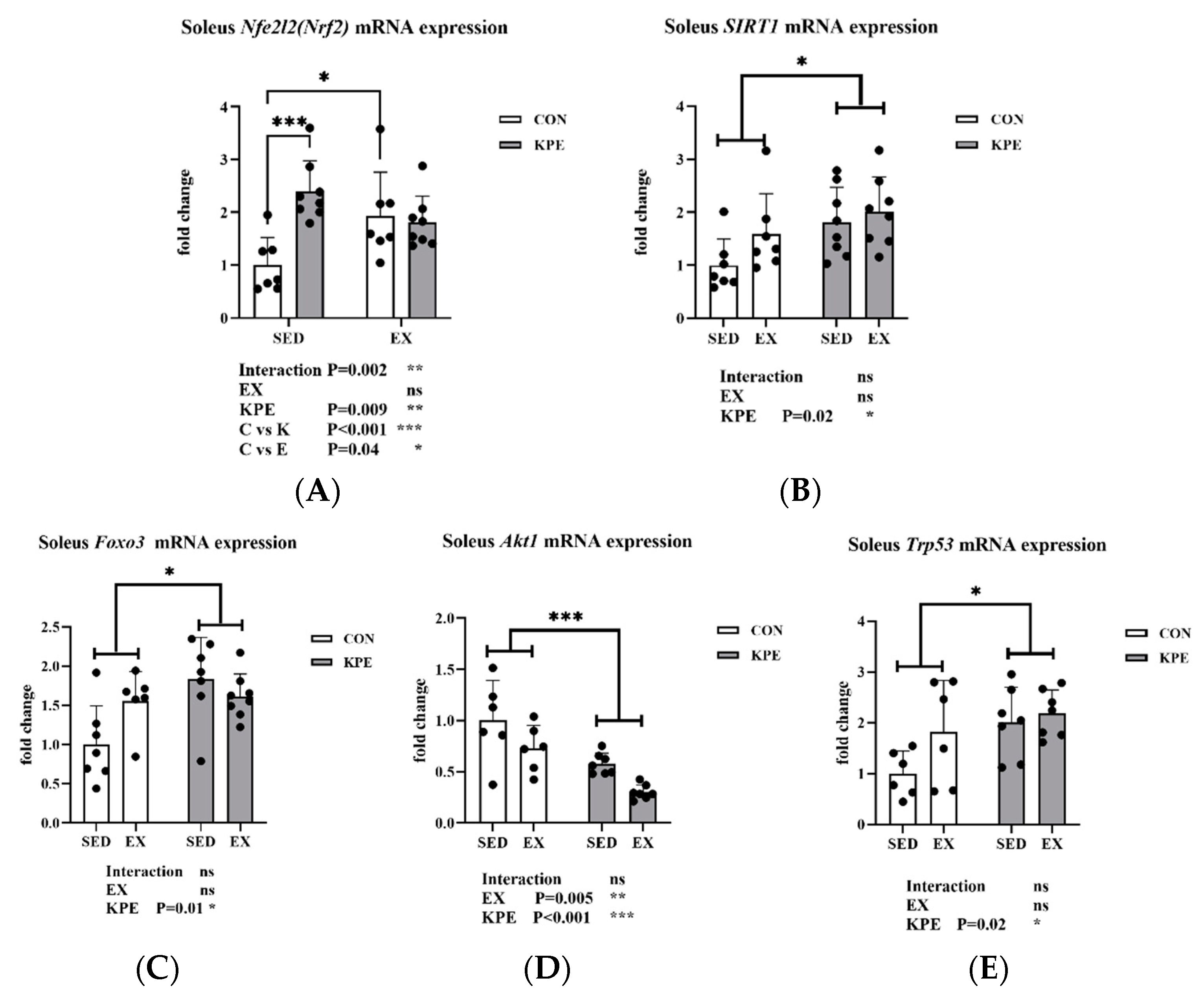 Antioxidants 13 01147 g005 Antioxidants 13 01147 g005