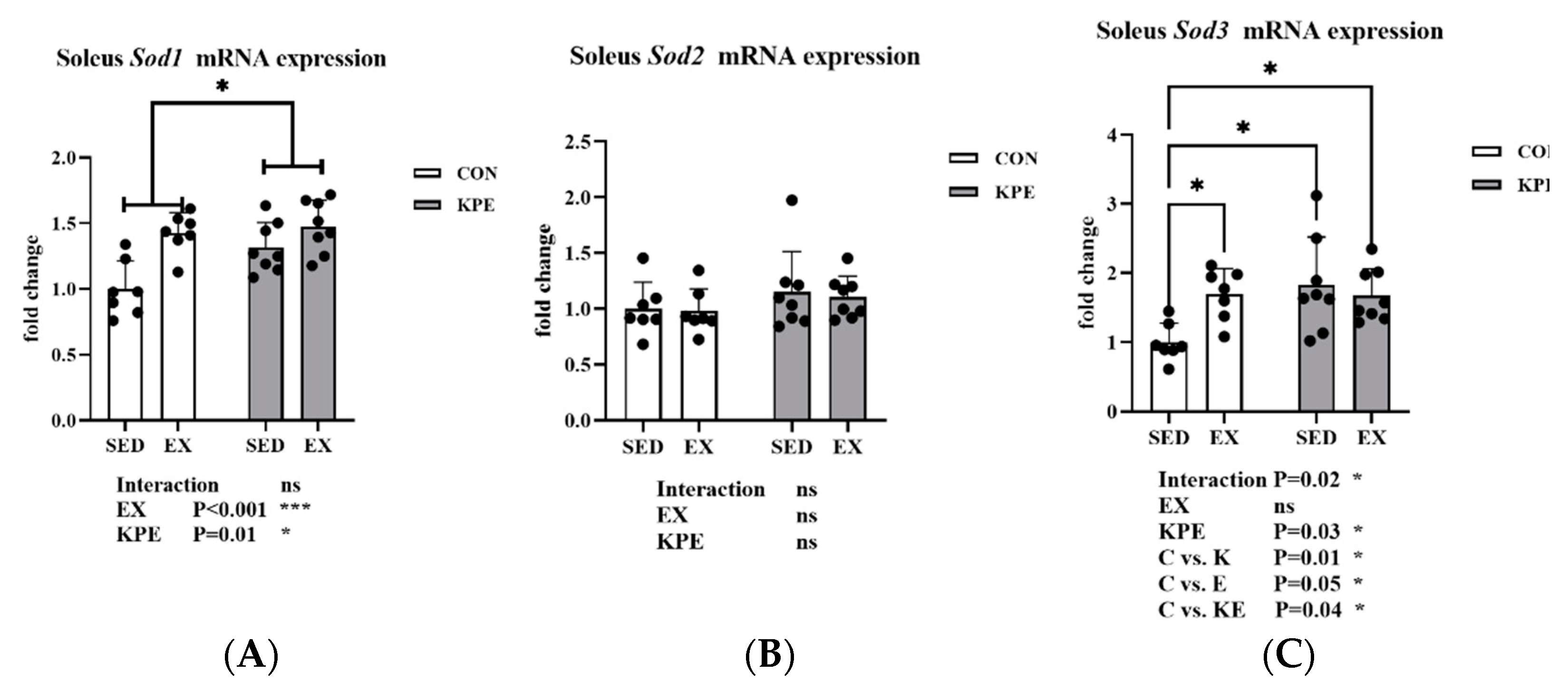 Antioxidants 13 01147 g006 Antioxidants 13 01147 g006