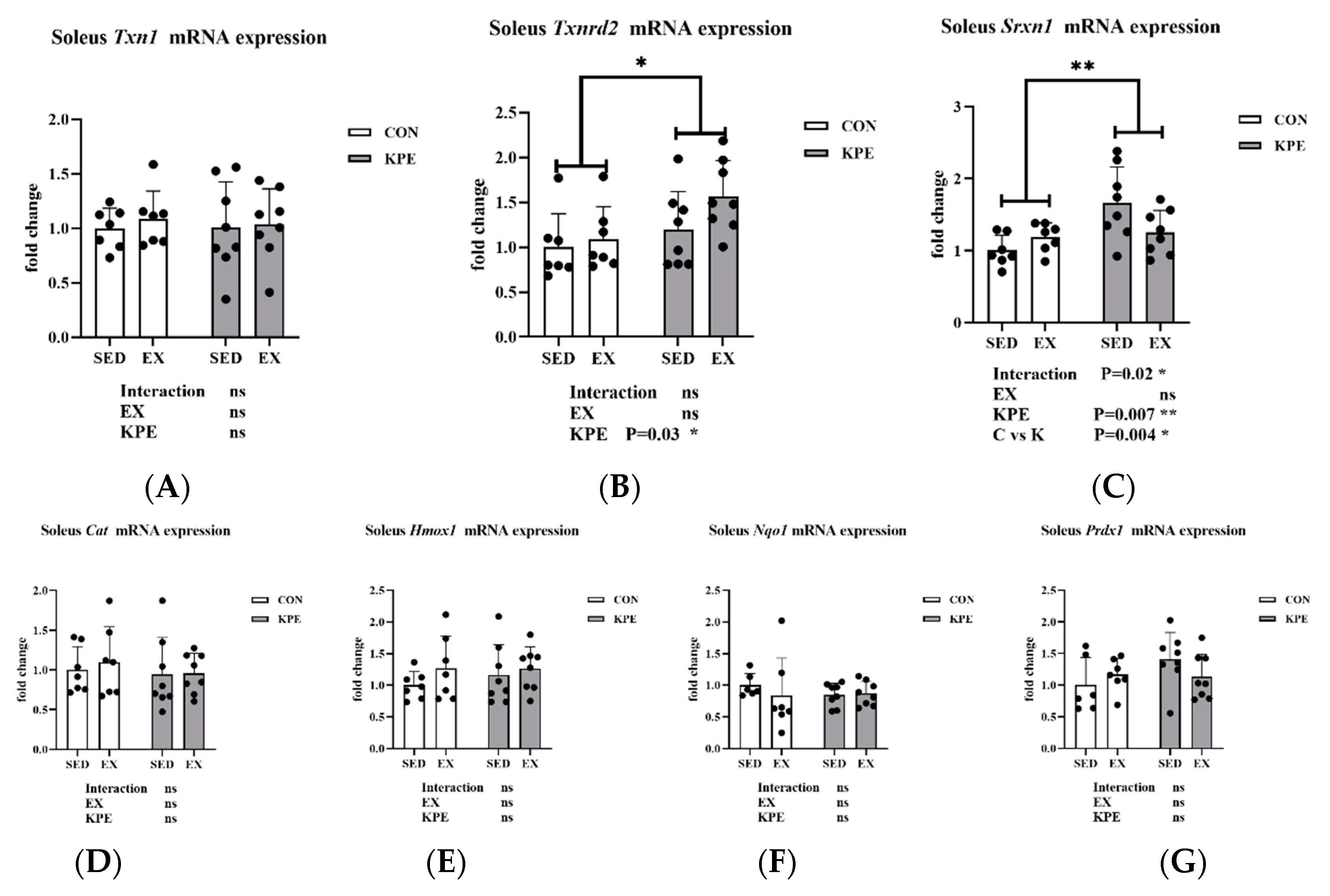 Antioxidants 13 01147 g008 Antioxidants 13 01147 g008