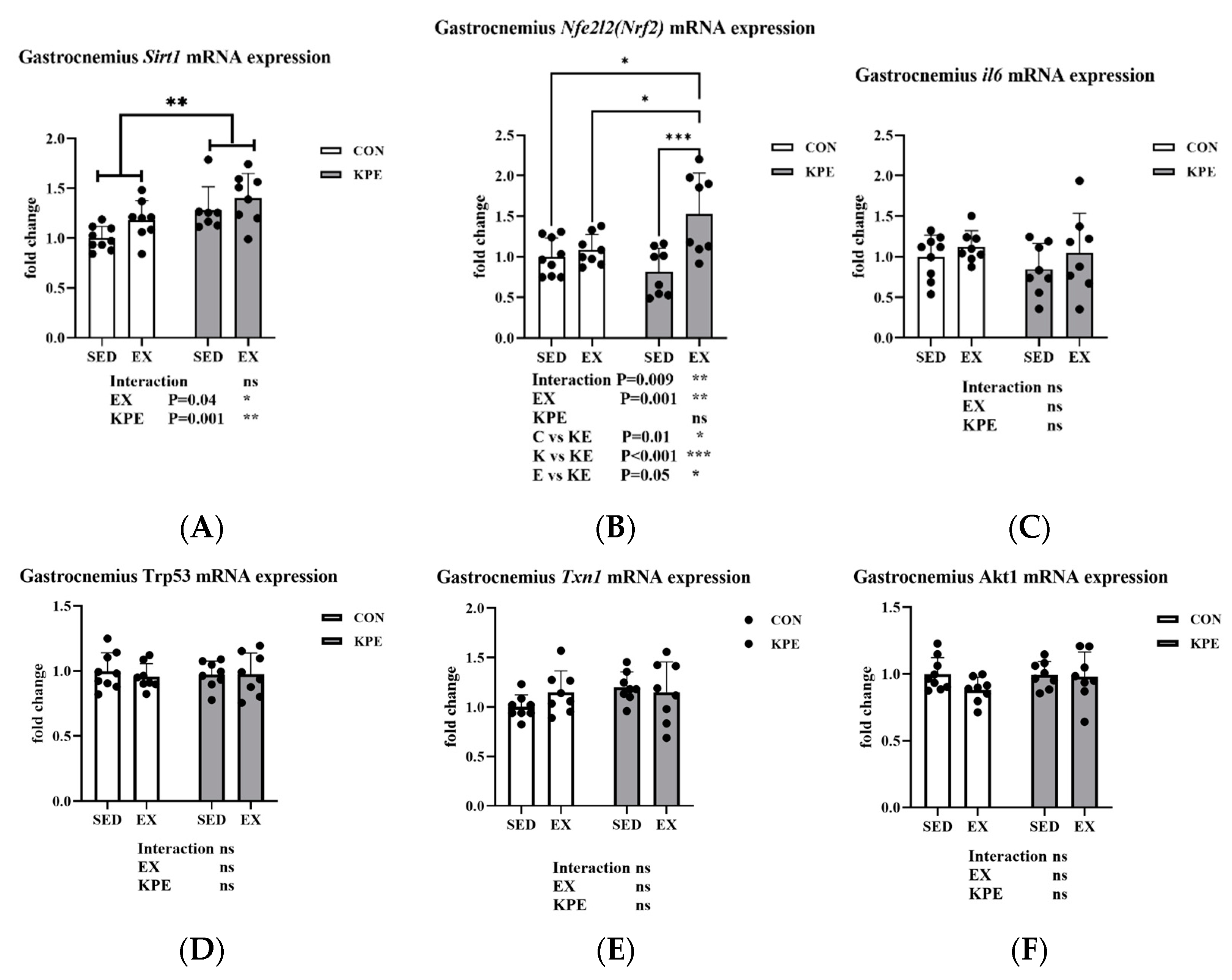 Antioxidants 13 01147 g009 Antioxidants 13 01147 g009