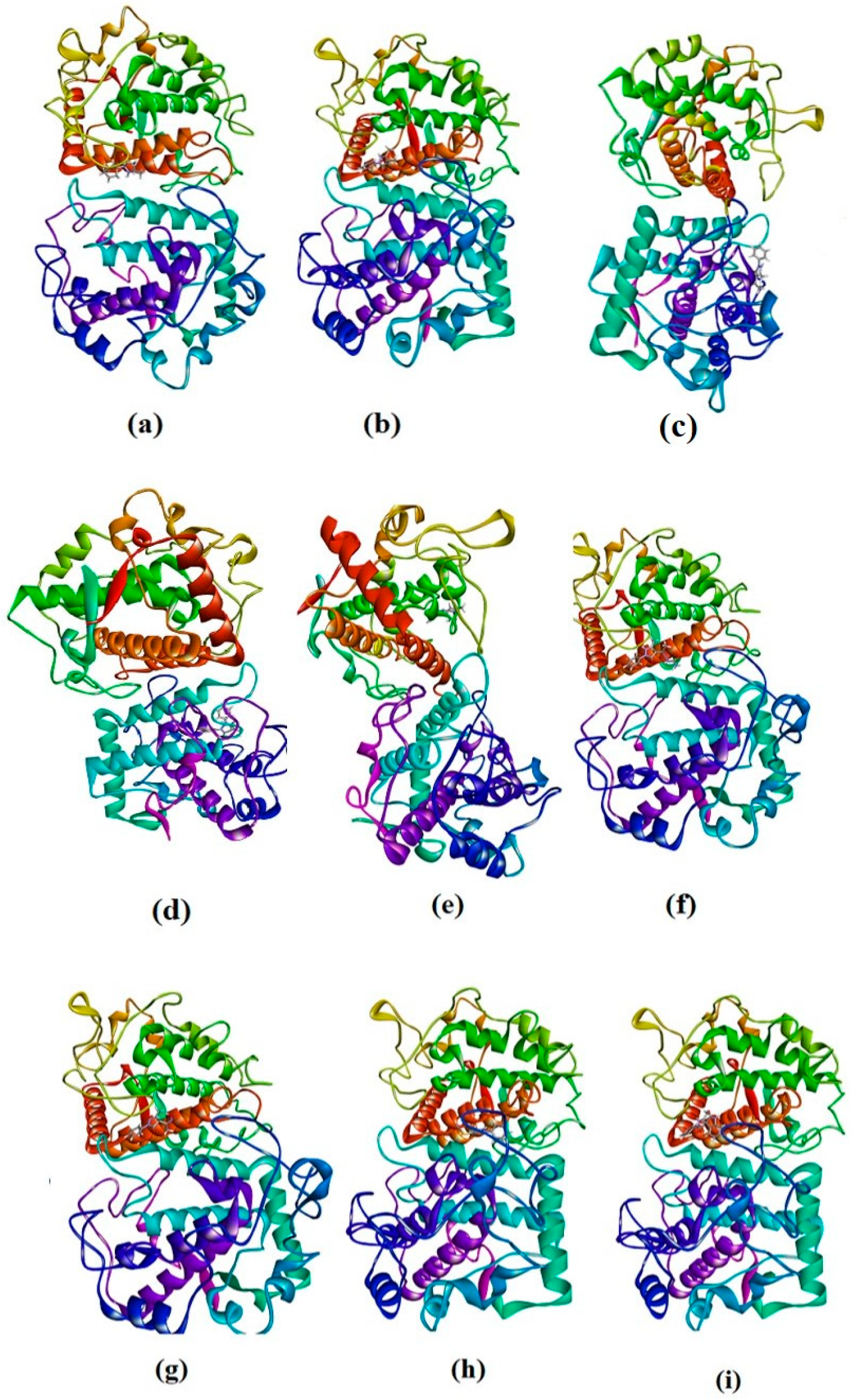 Antioxidants 13 01148 g007