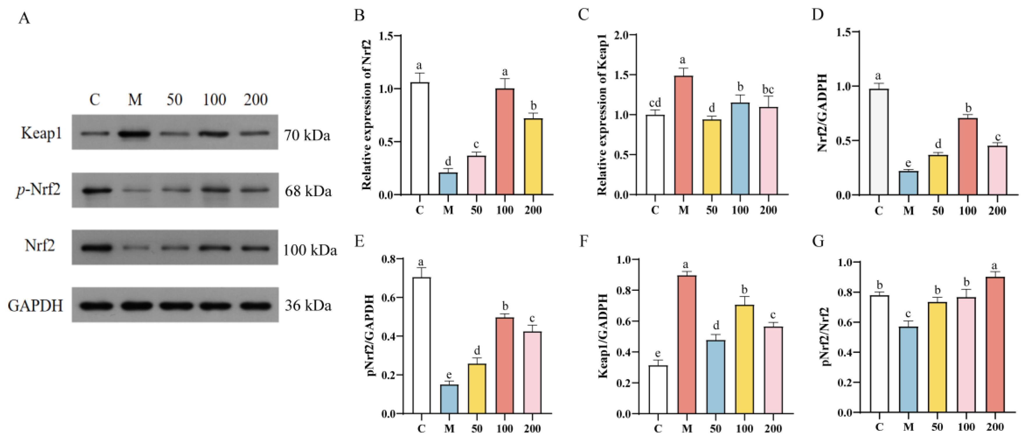 Antioxidants 13 01150 g006