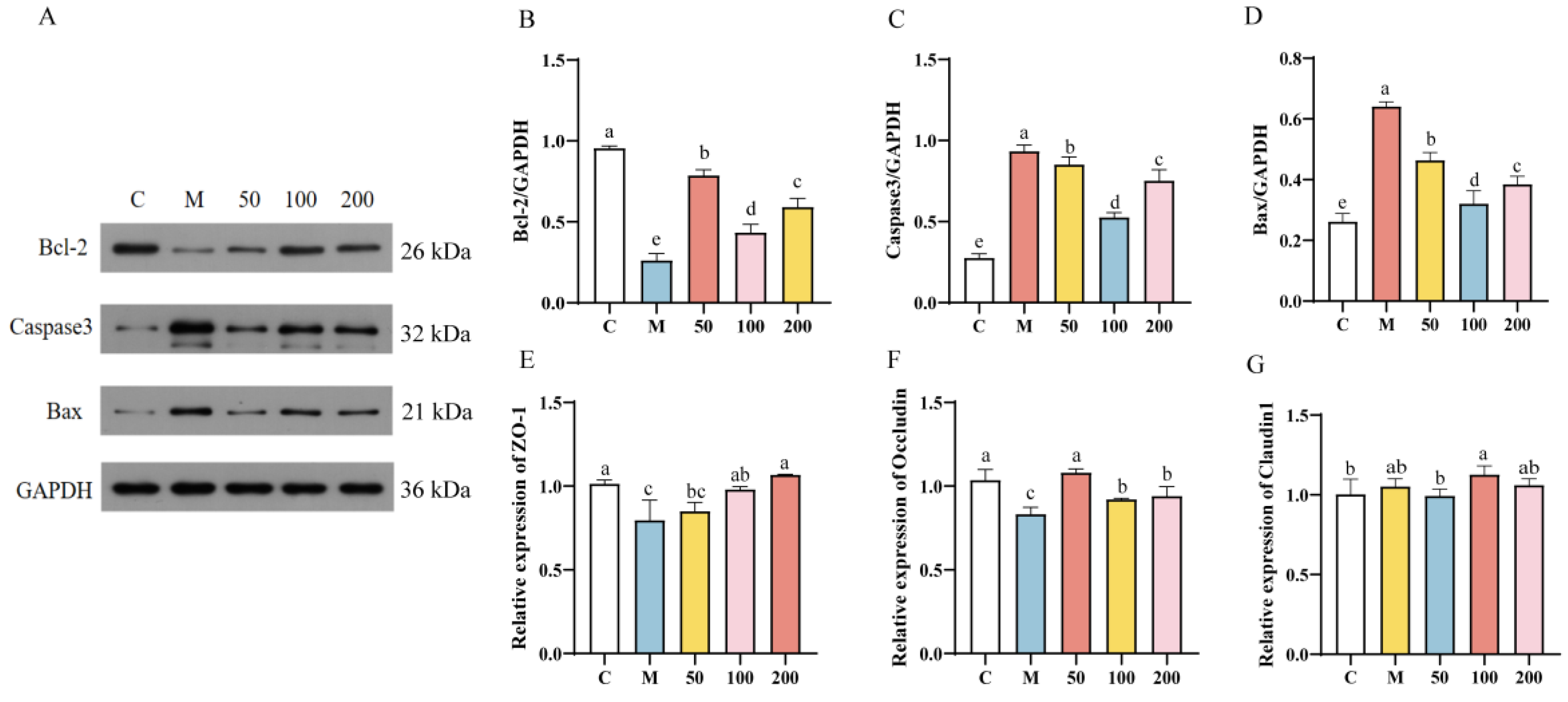 Antioxidants 13 01150 g007