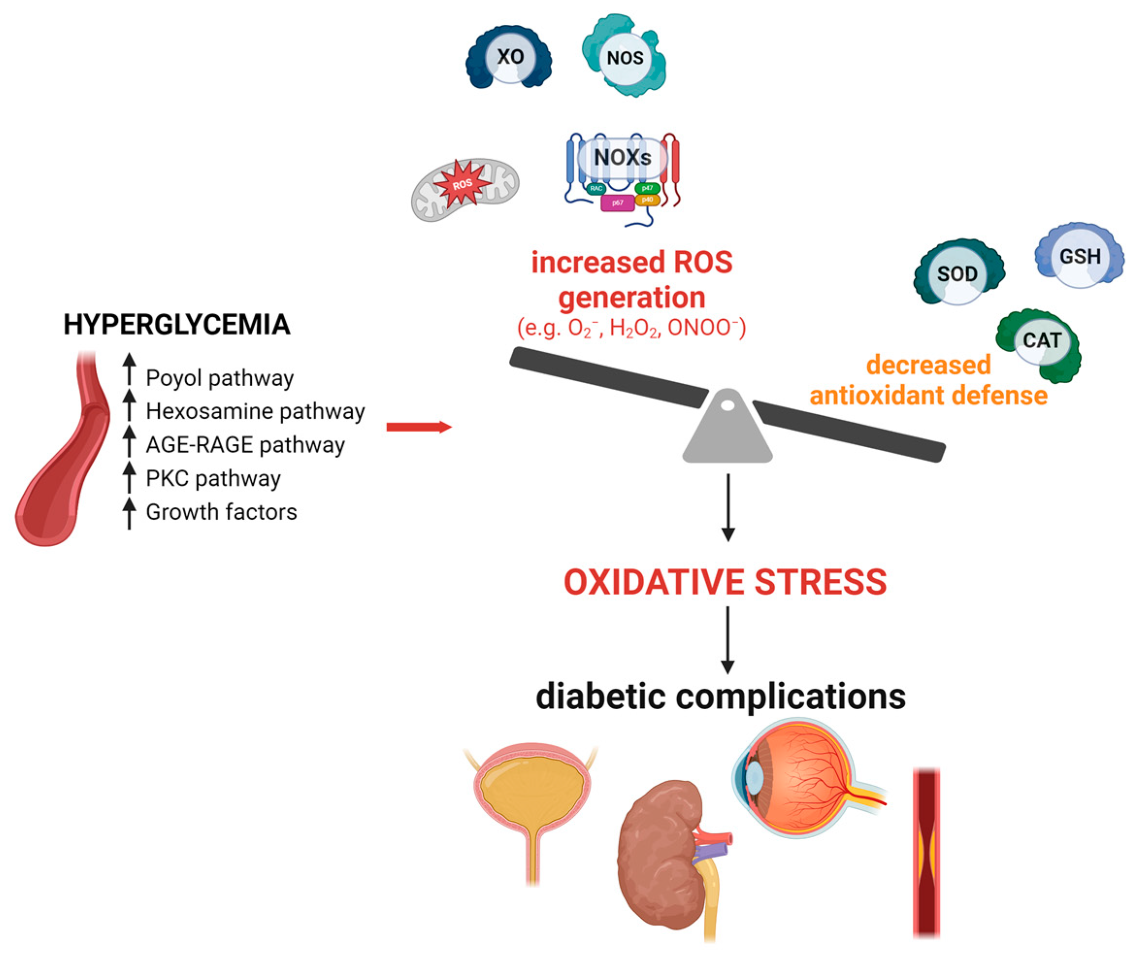 Antioxidants 13 01155 g001