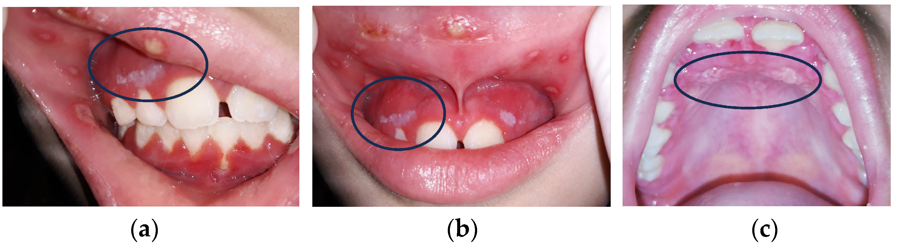 Antioxidants 13 01160 g002