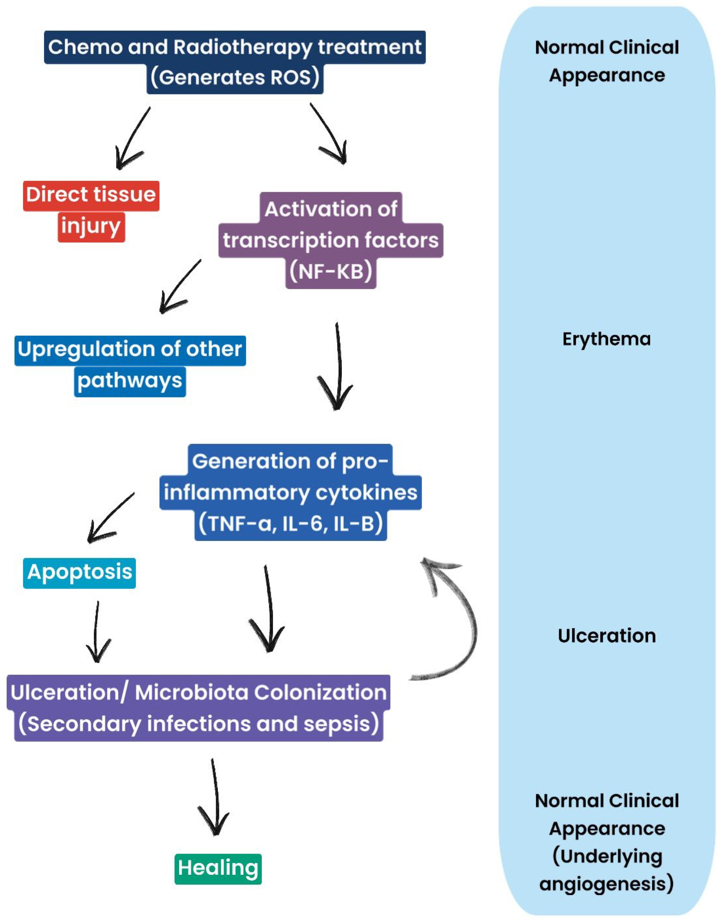Antioxidants 13 01160 g003