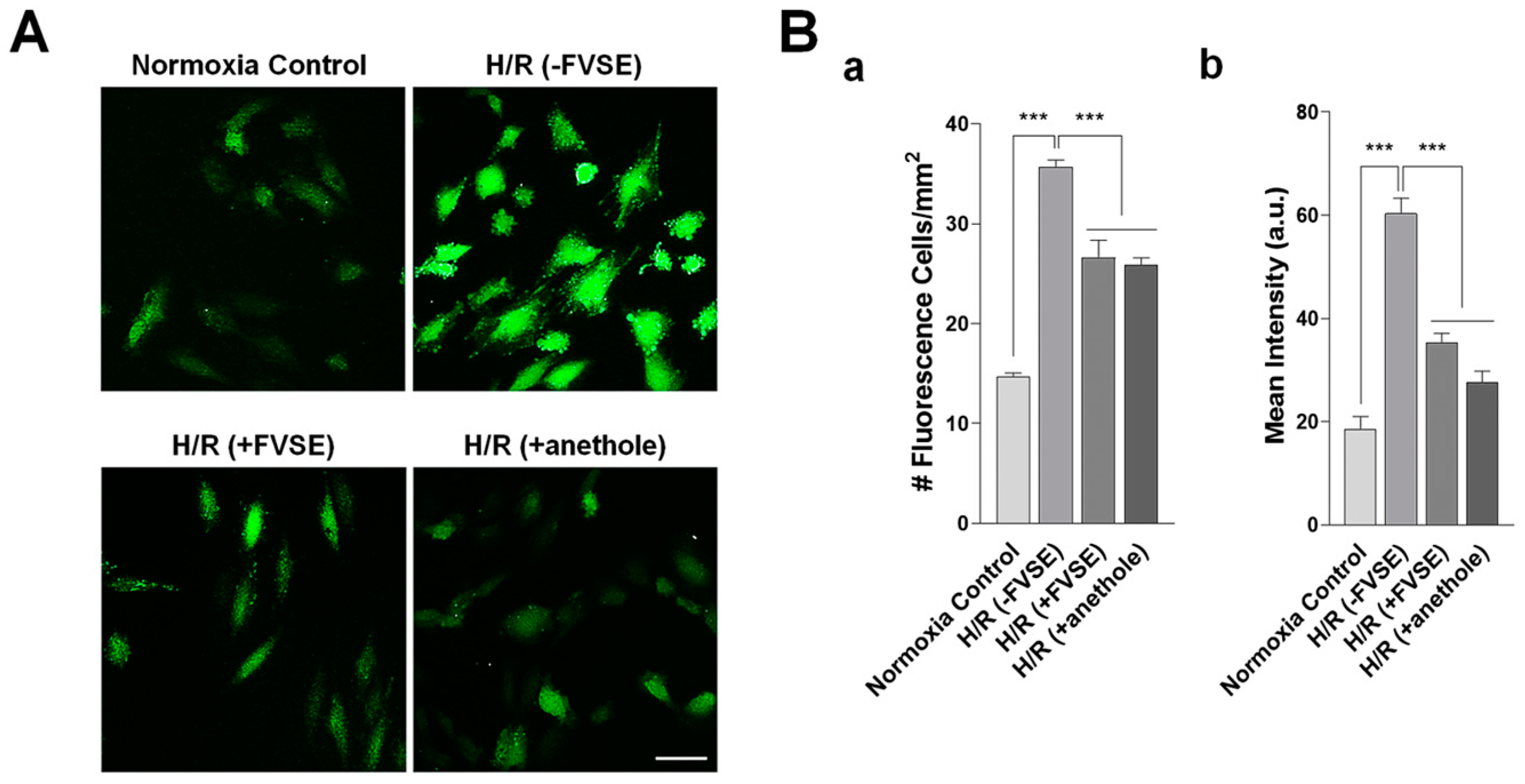 Antioxidants 13 01161 g005