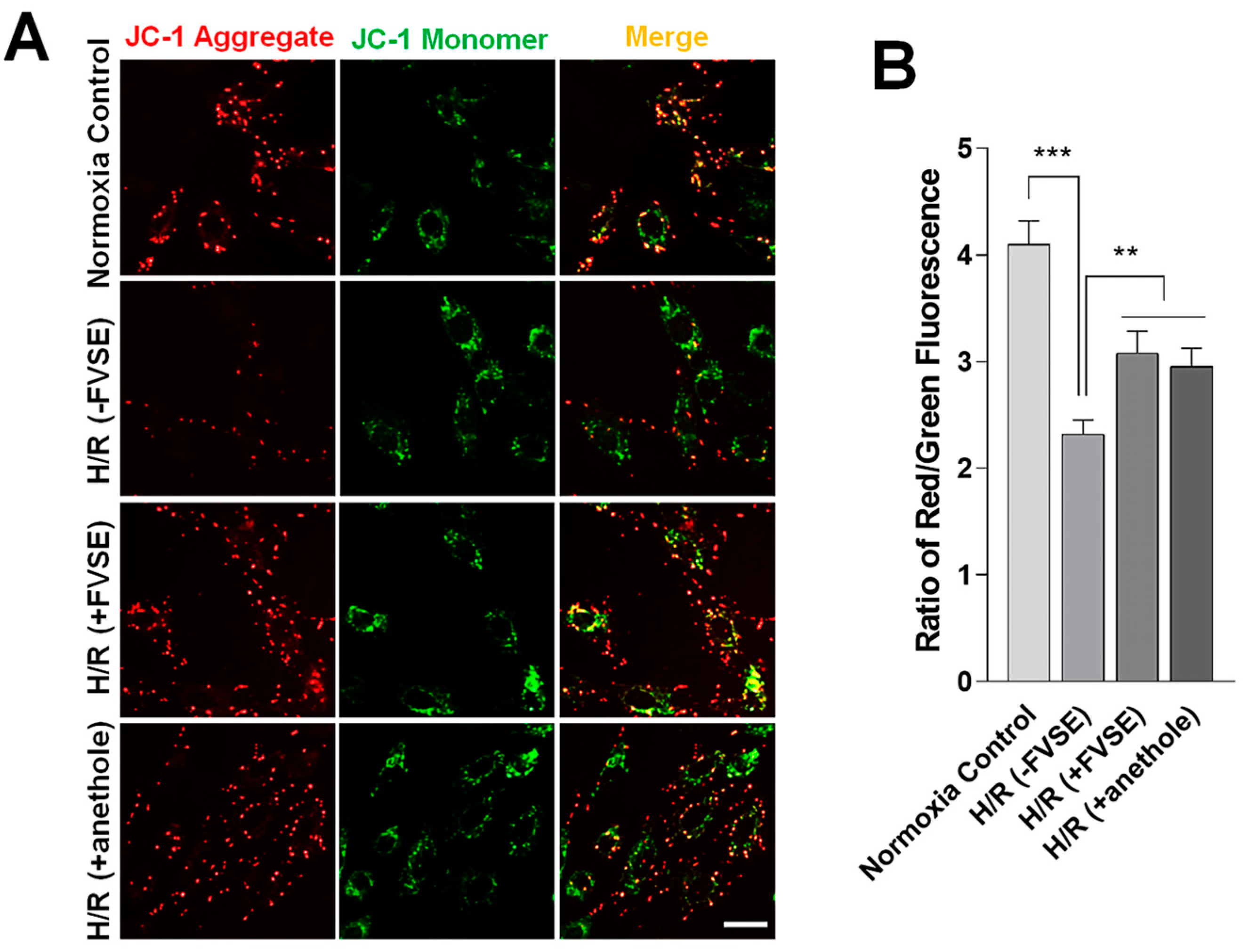 Antioxidants 13 01161 g008