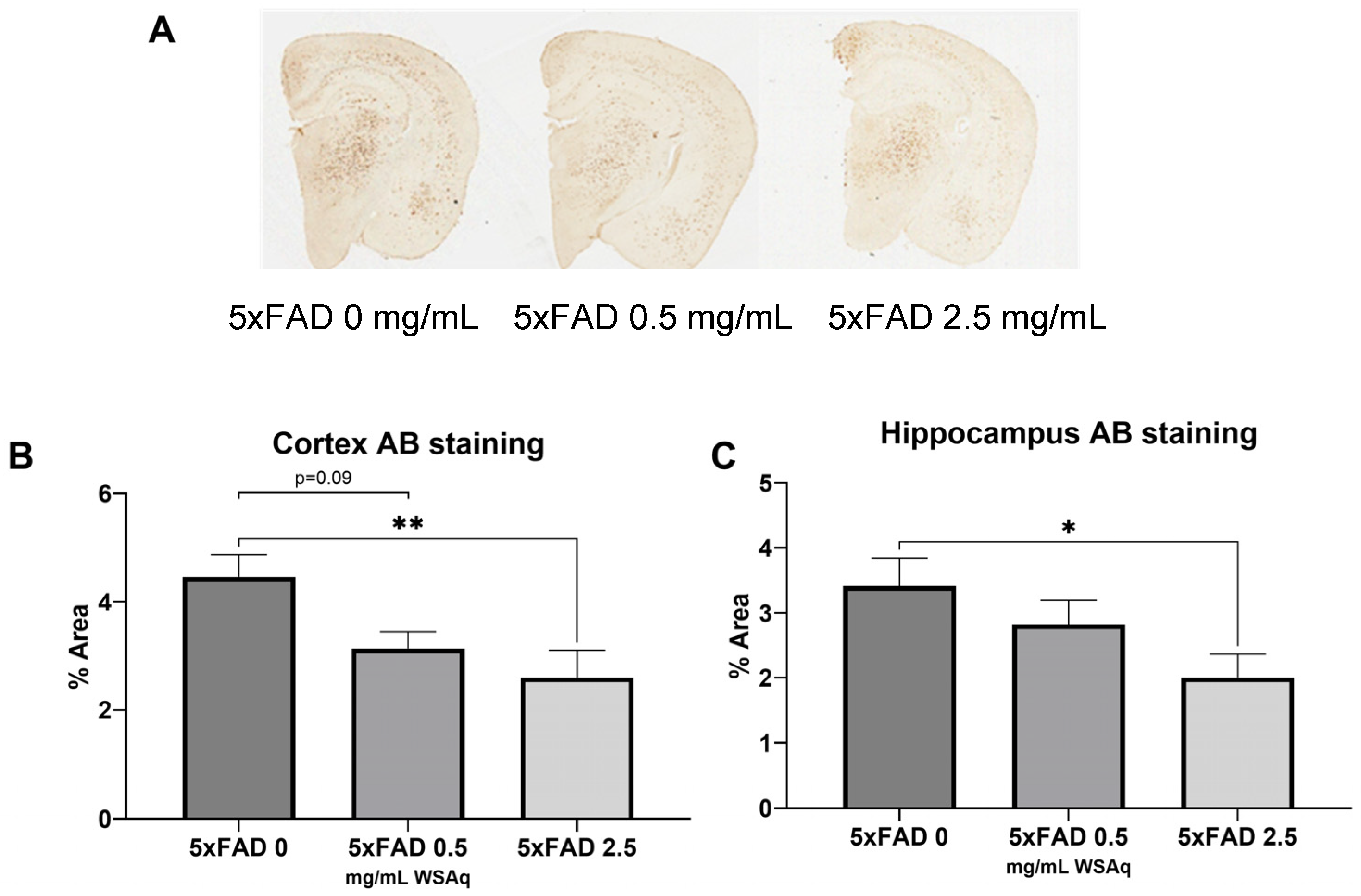 Antioxidants 13 01164 g005