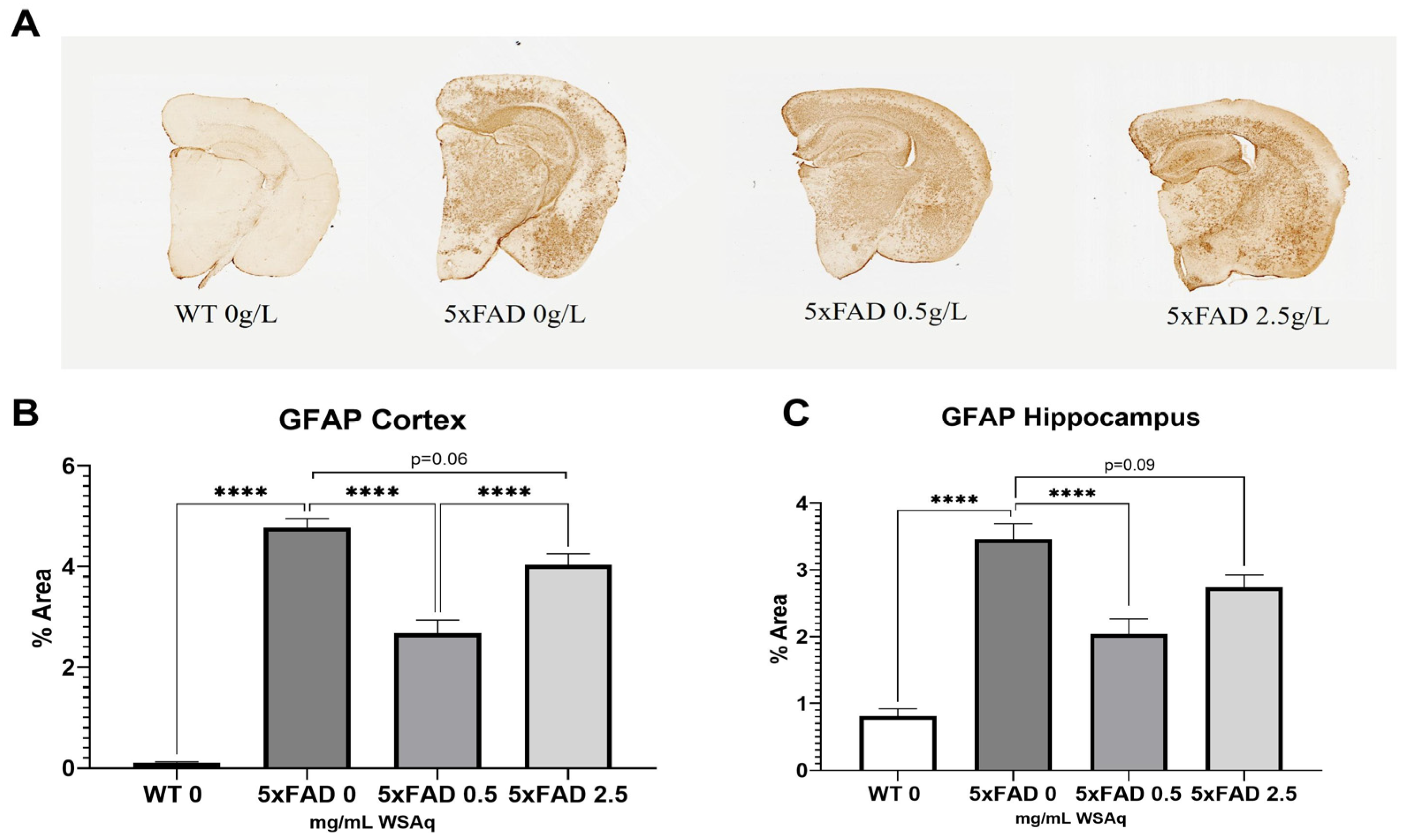 Antioxidants 13 01164 g006