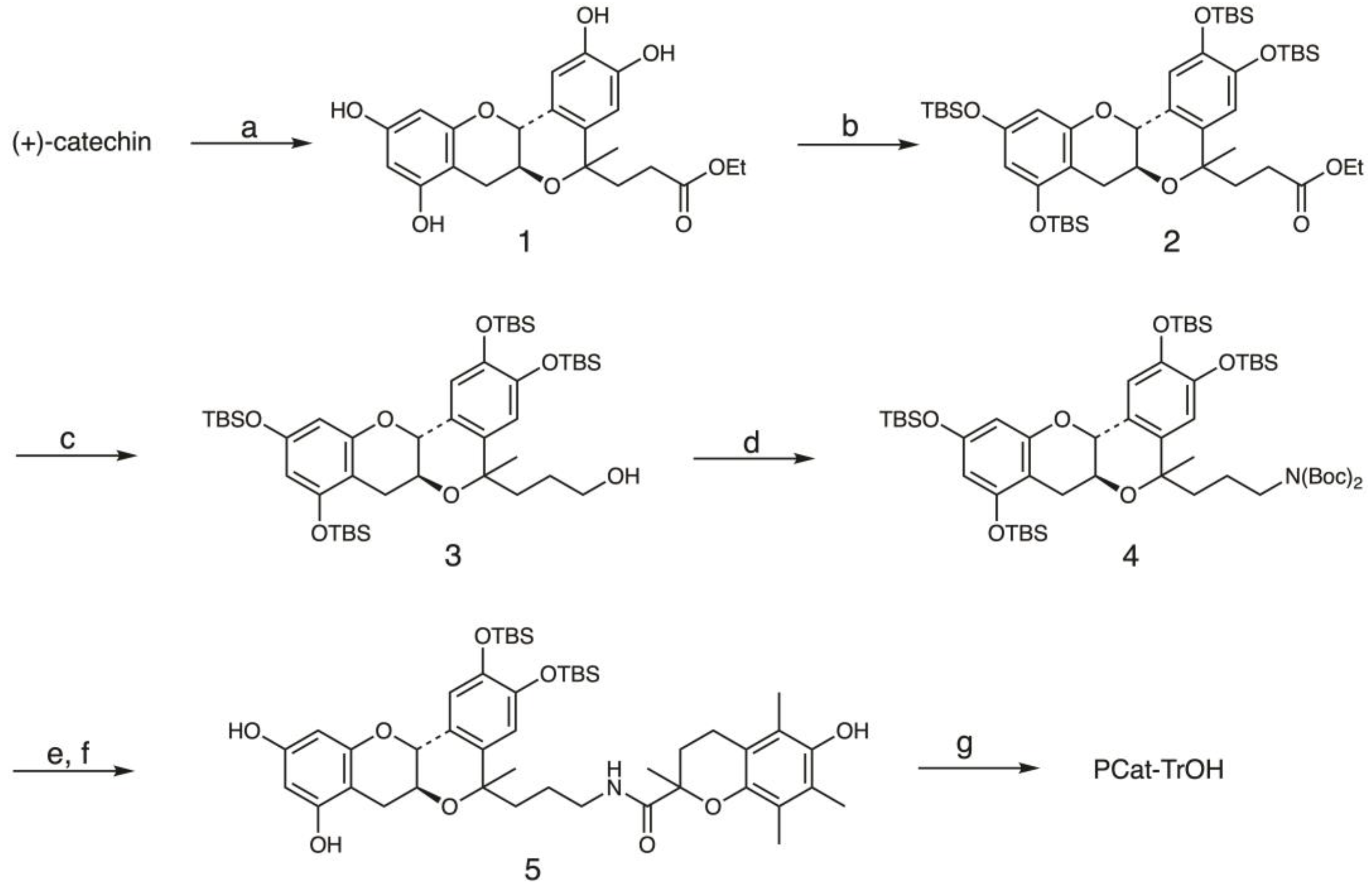 Antioxidants 13 01165 g002