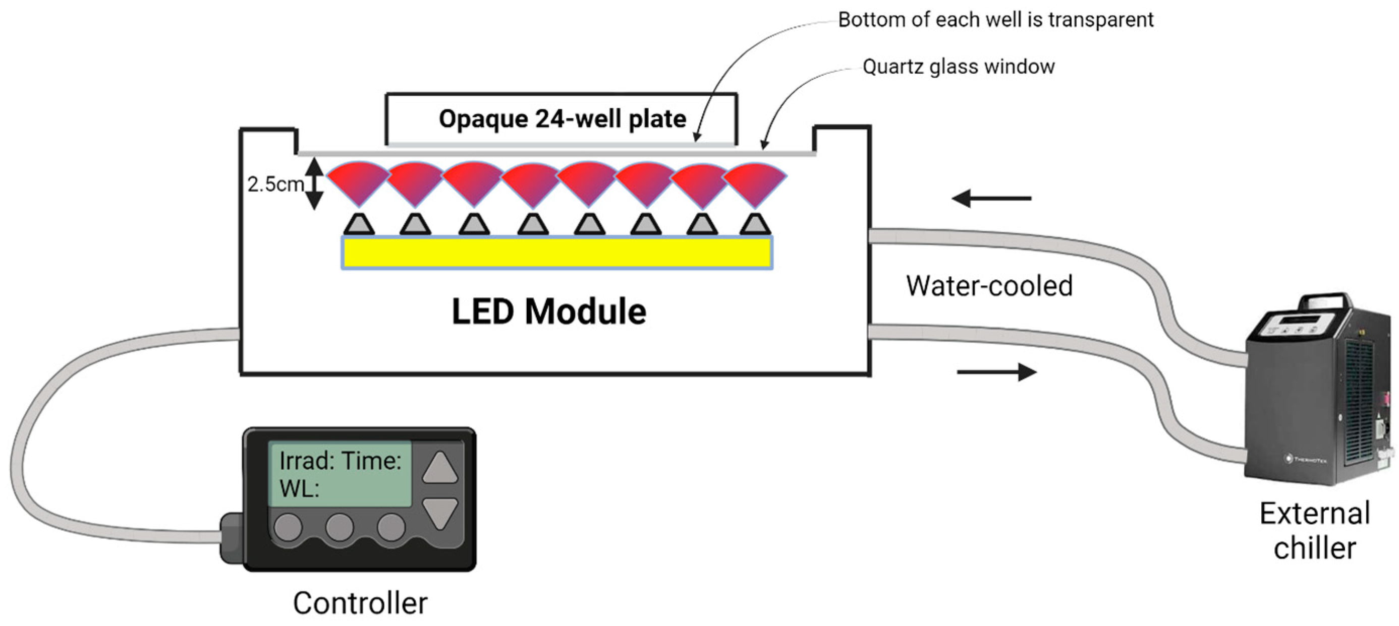 Antioxidants 13 01176 g002 Antioxidants 13 01176 g002