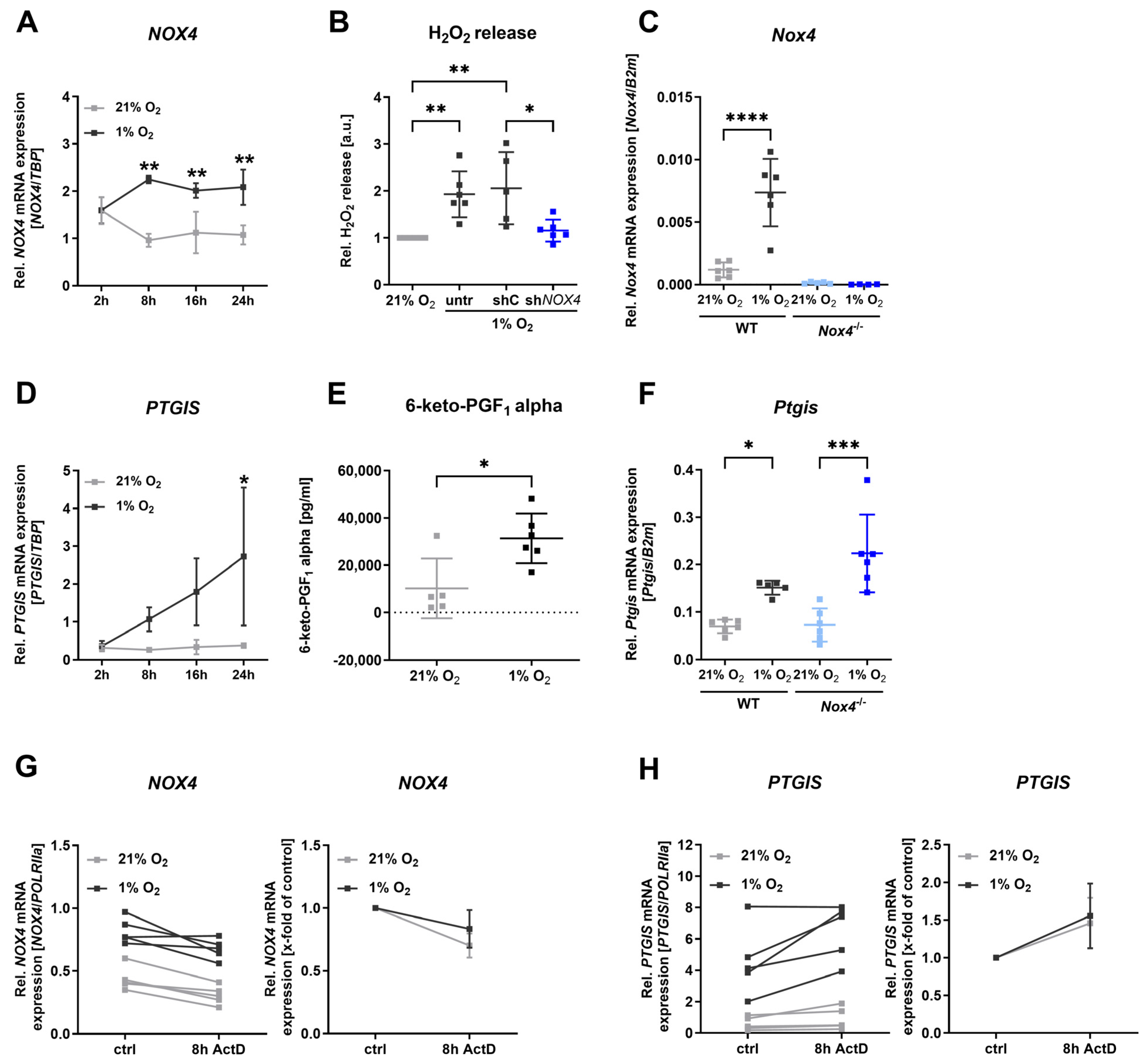 Antioxidants 13 01178 g002