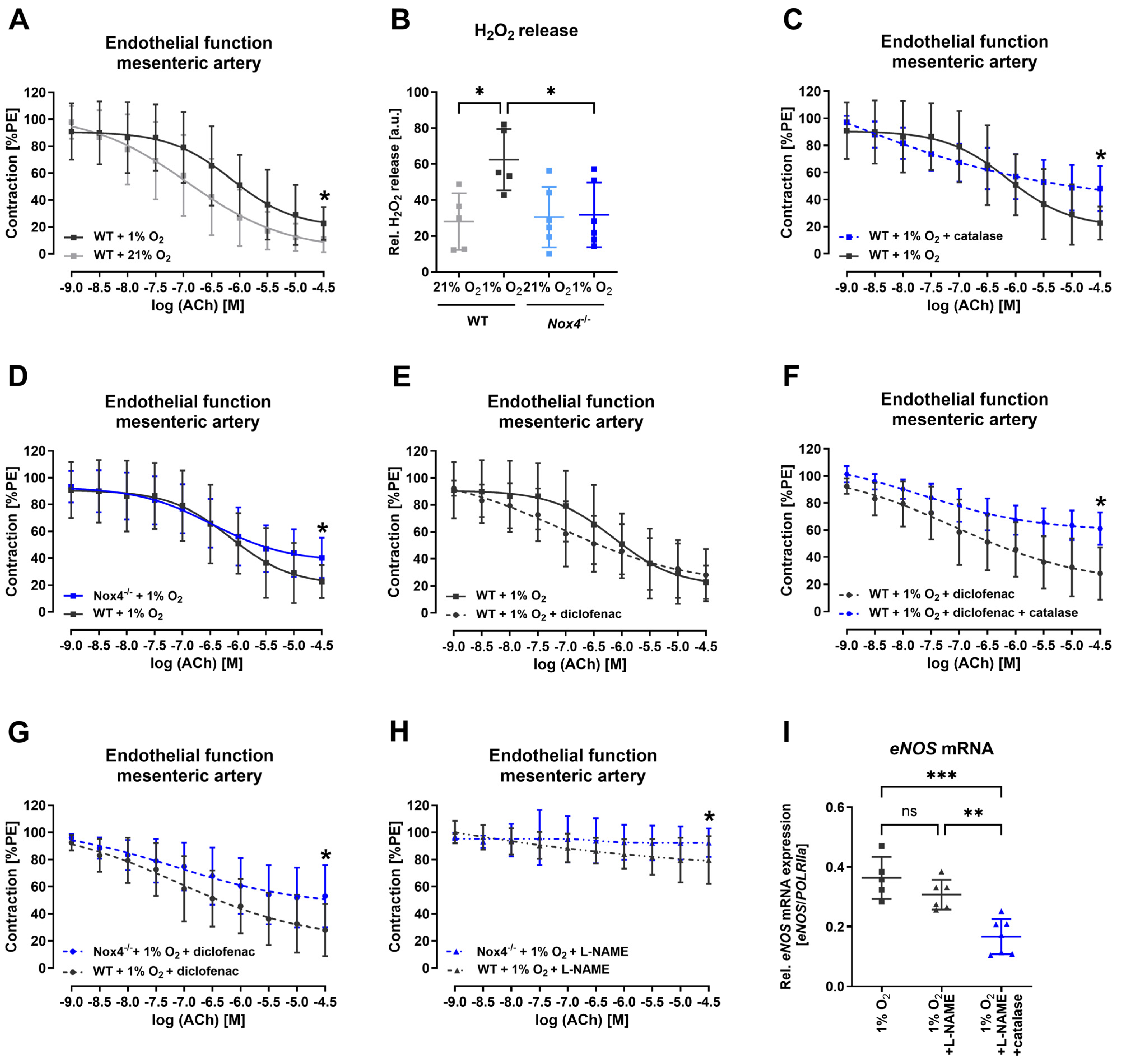 Antioxidants 13 01178 g004
