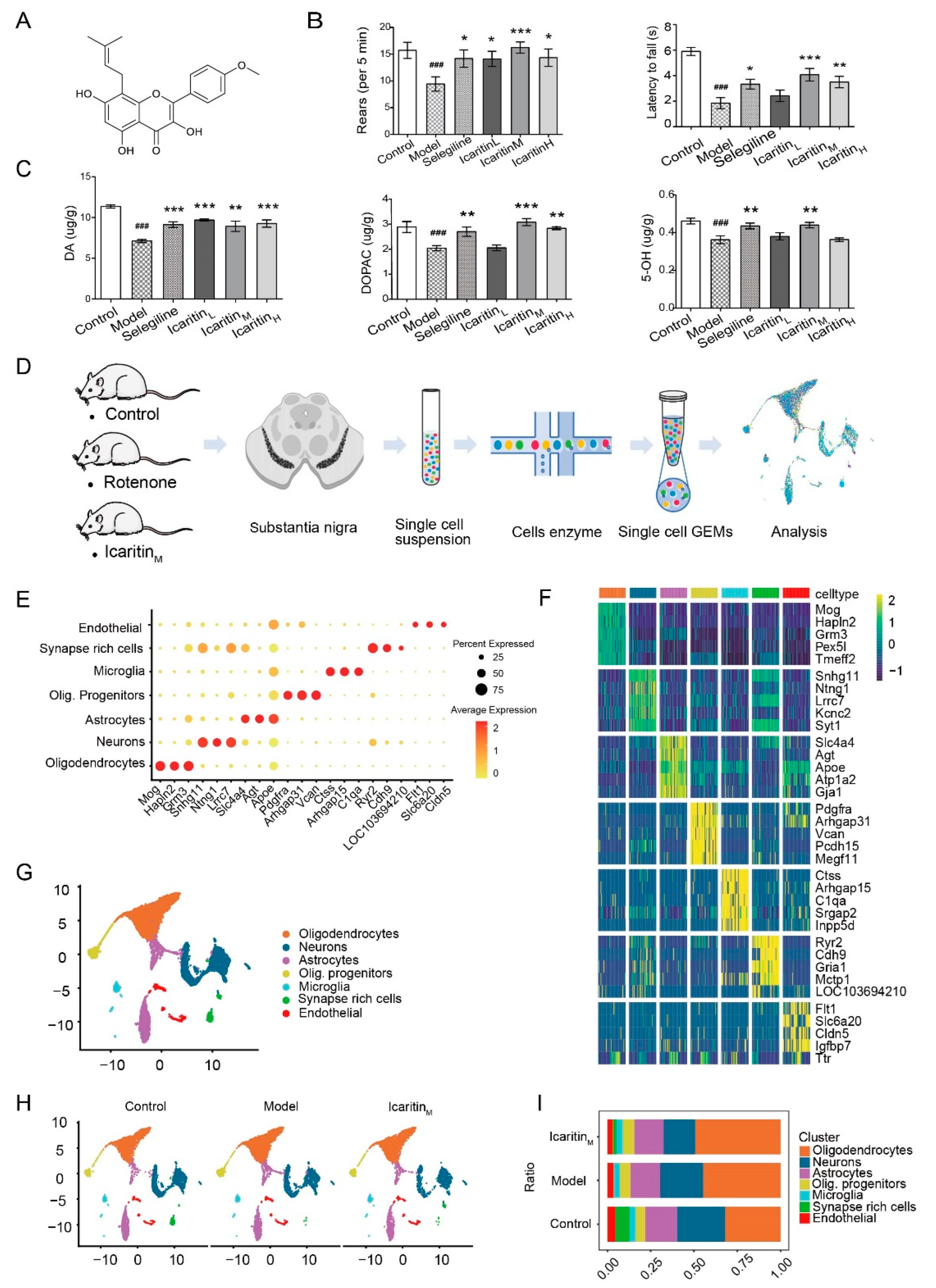 Antioxidants 13 01183 g001