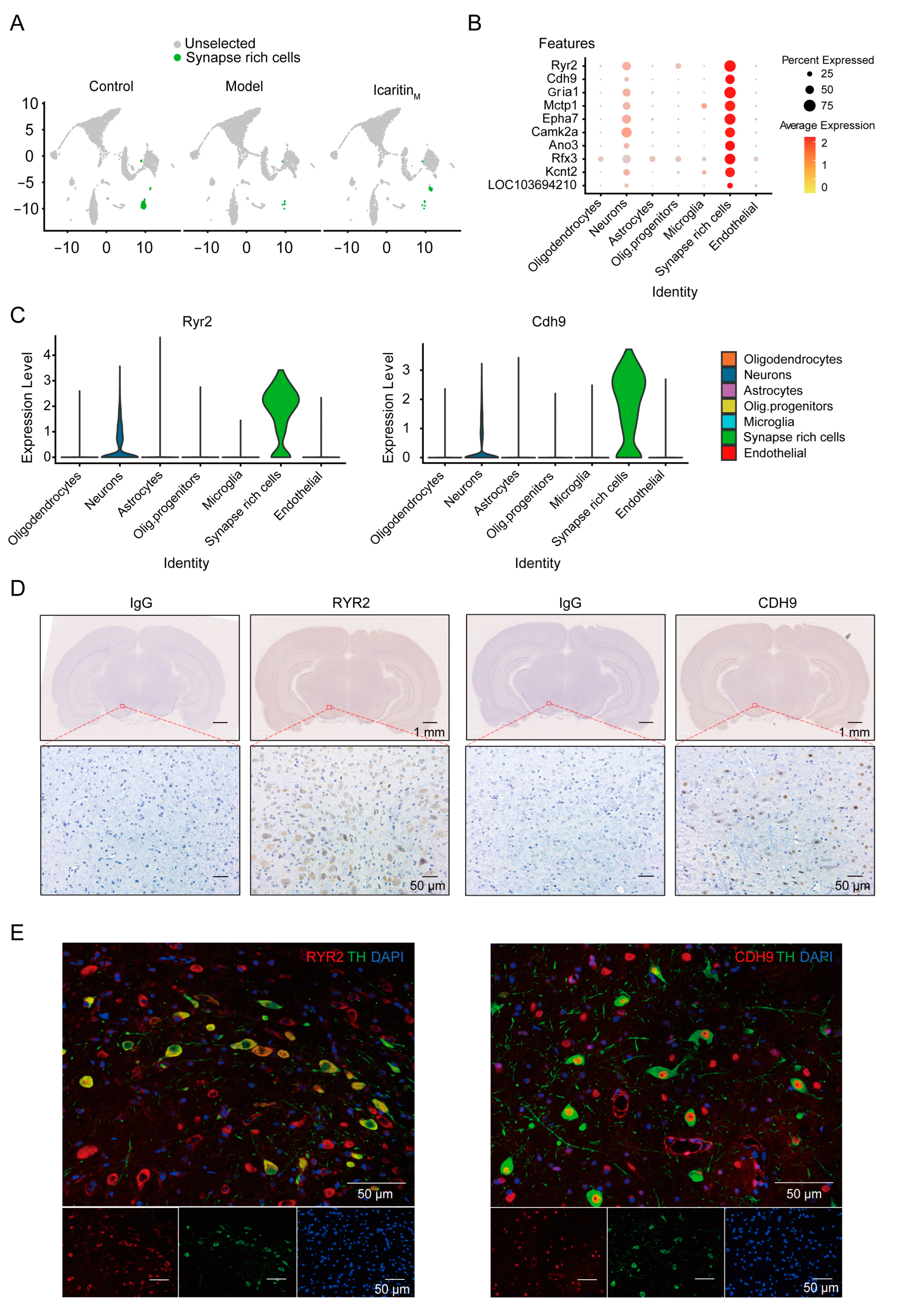 Antioxidants 13 01183 g002a
