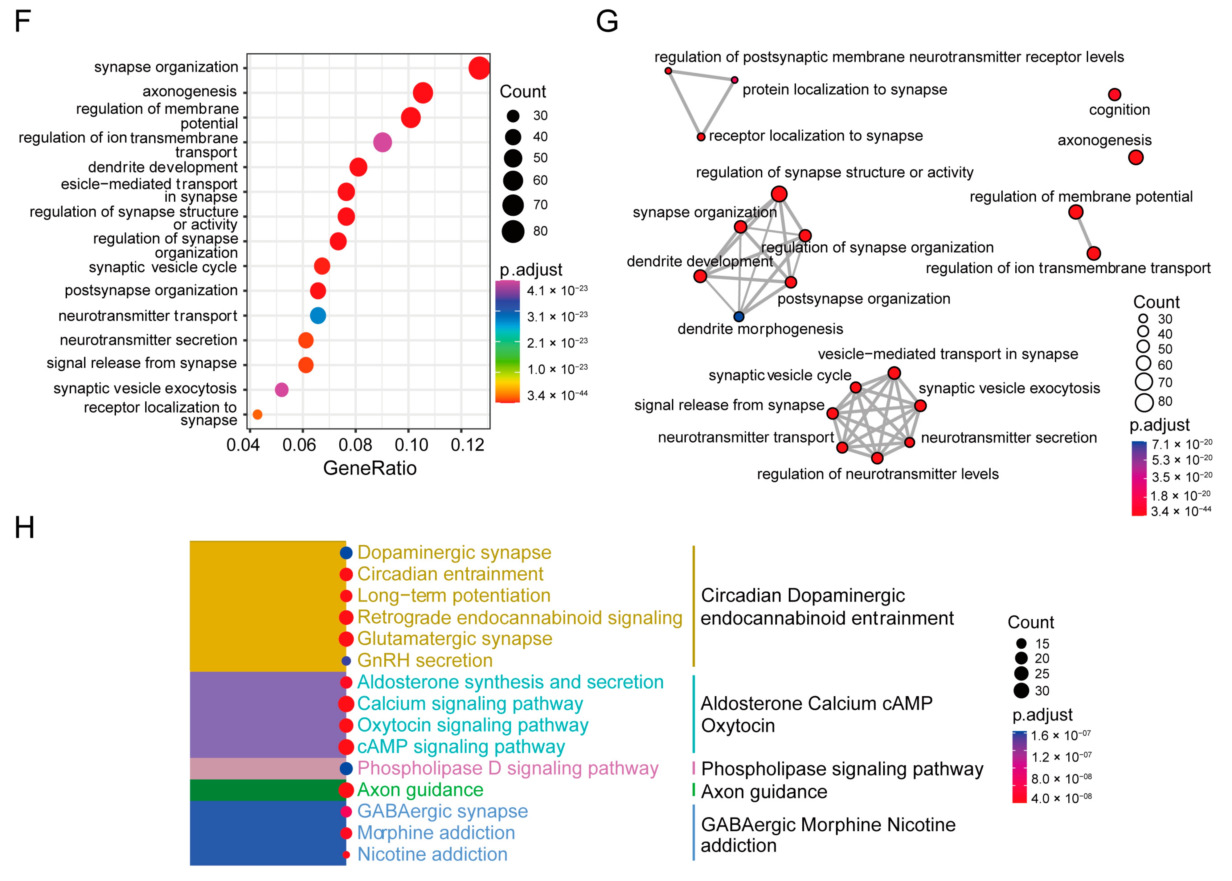 Antioxidants 13 01183 g002b