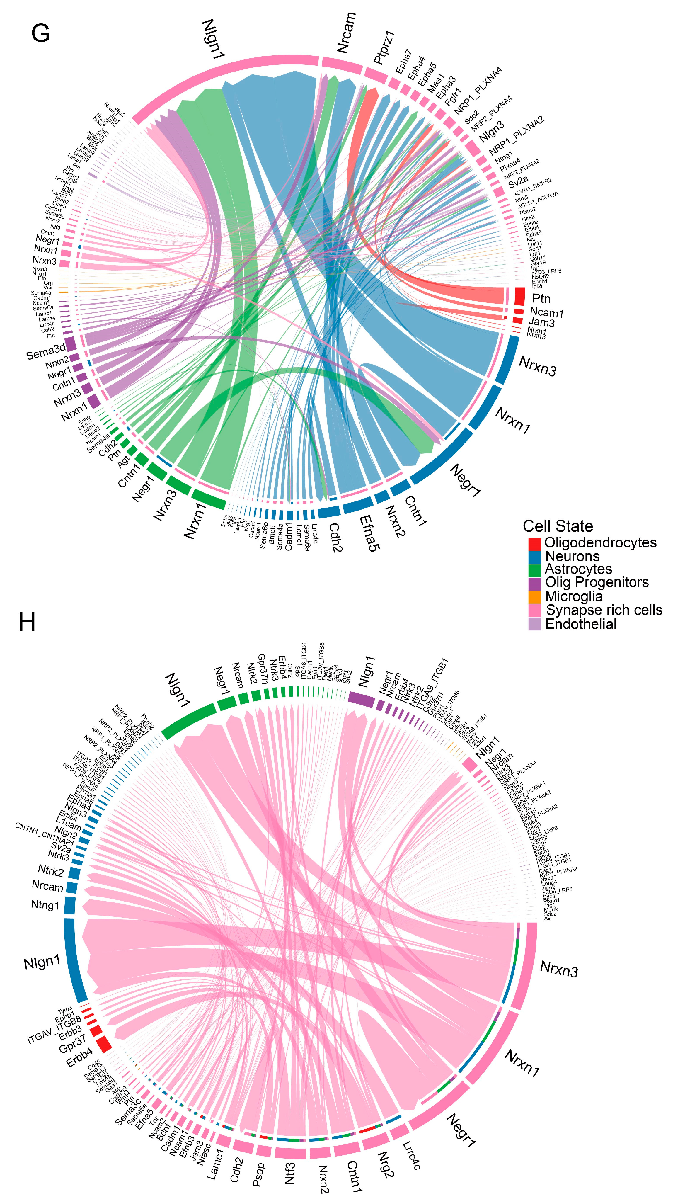 Antioxidants 13 01183 g003b