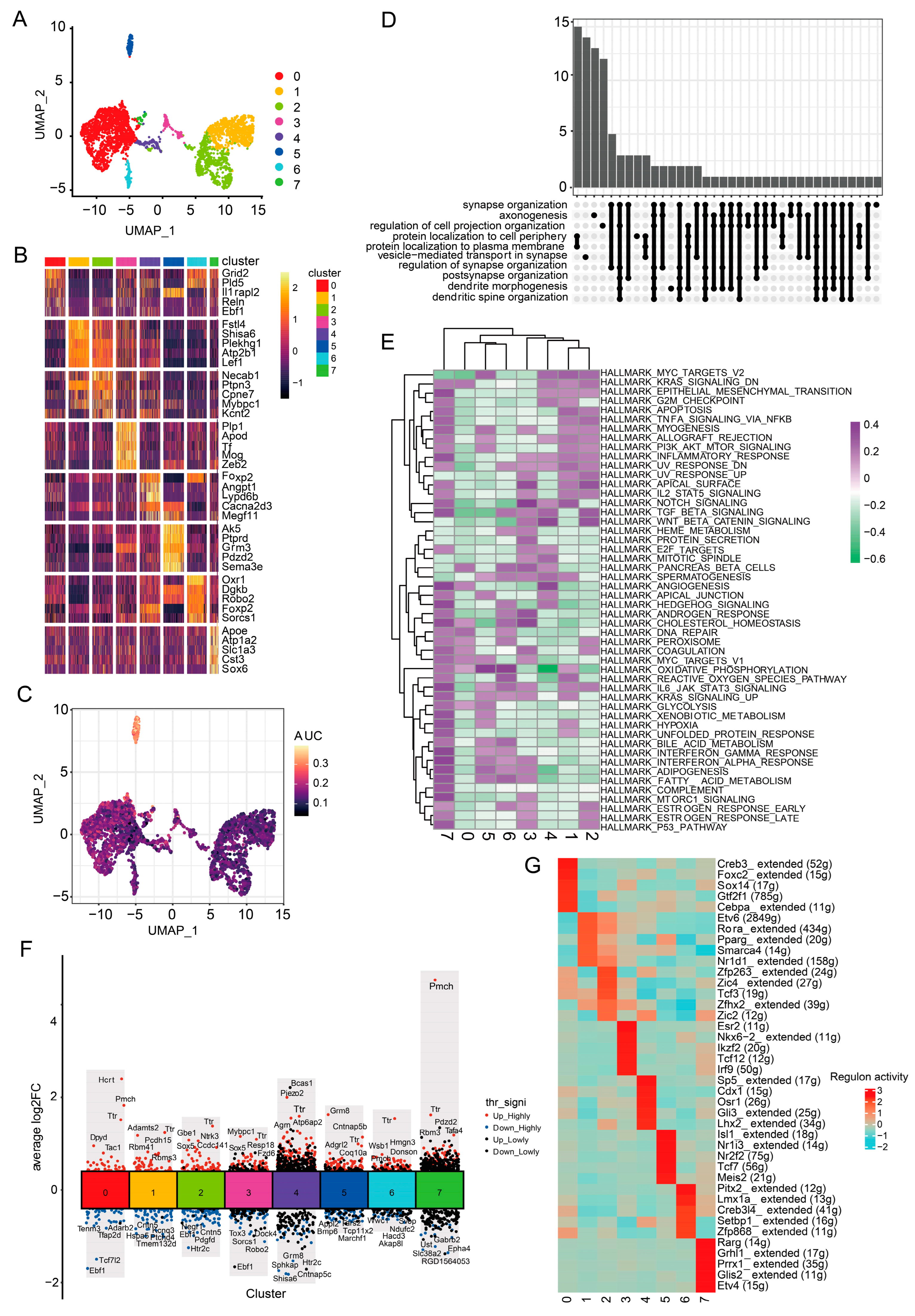 Antioxidants 13 01183 g004