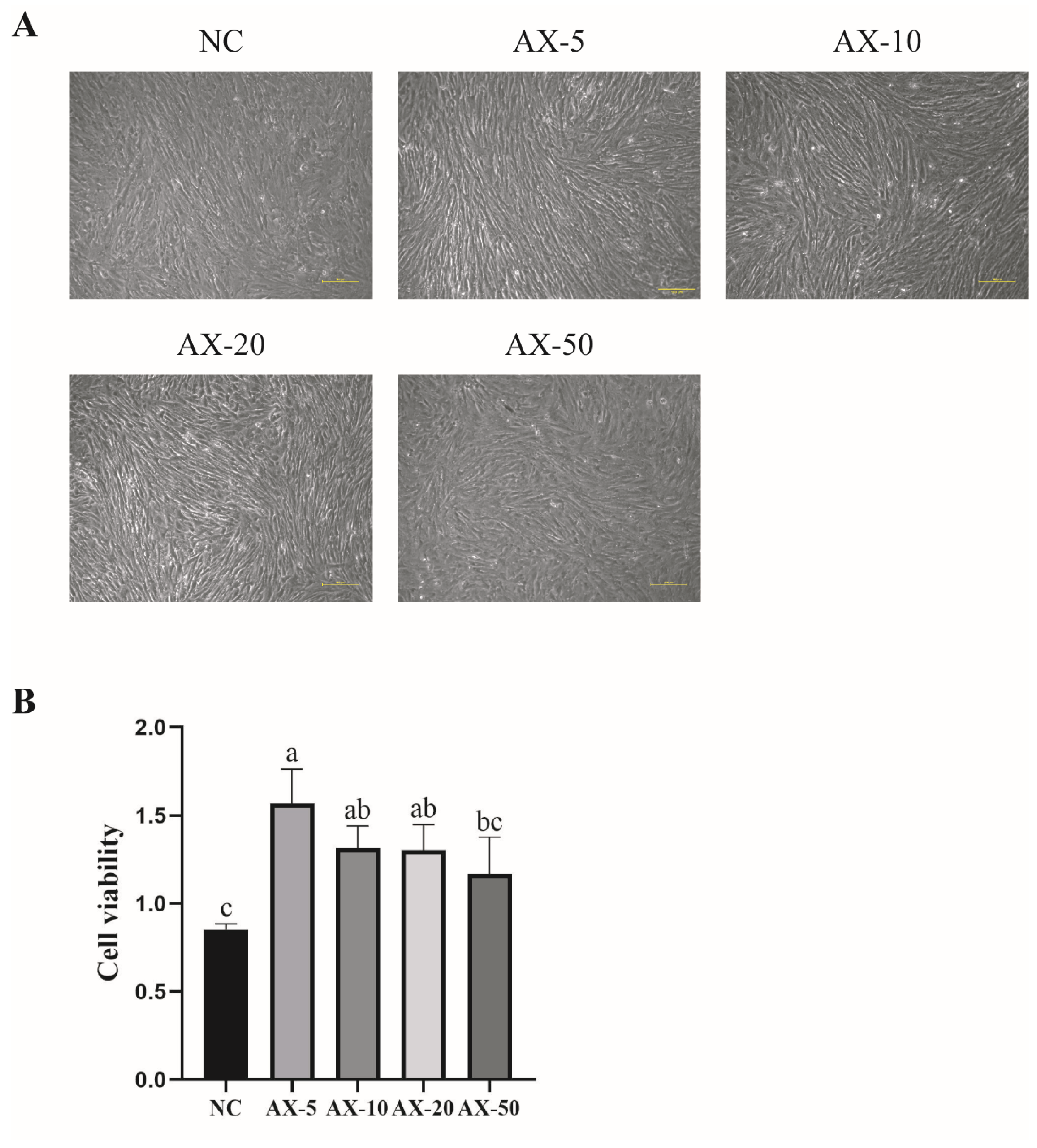 Antioxidants 13 01185 g003 Antioxidants 13 01185 g003
