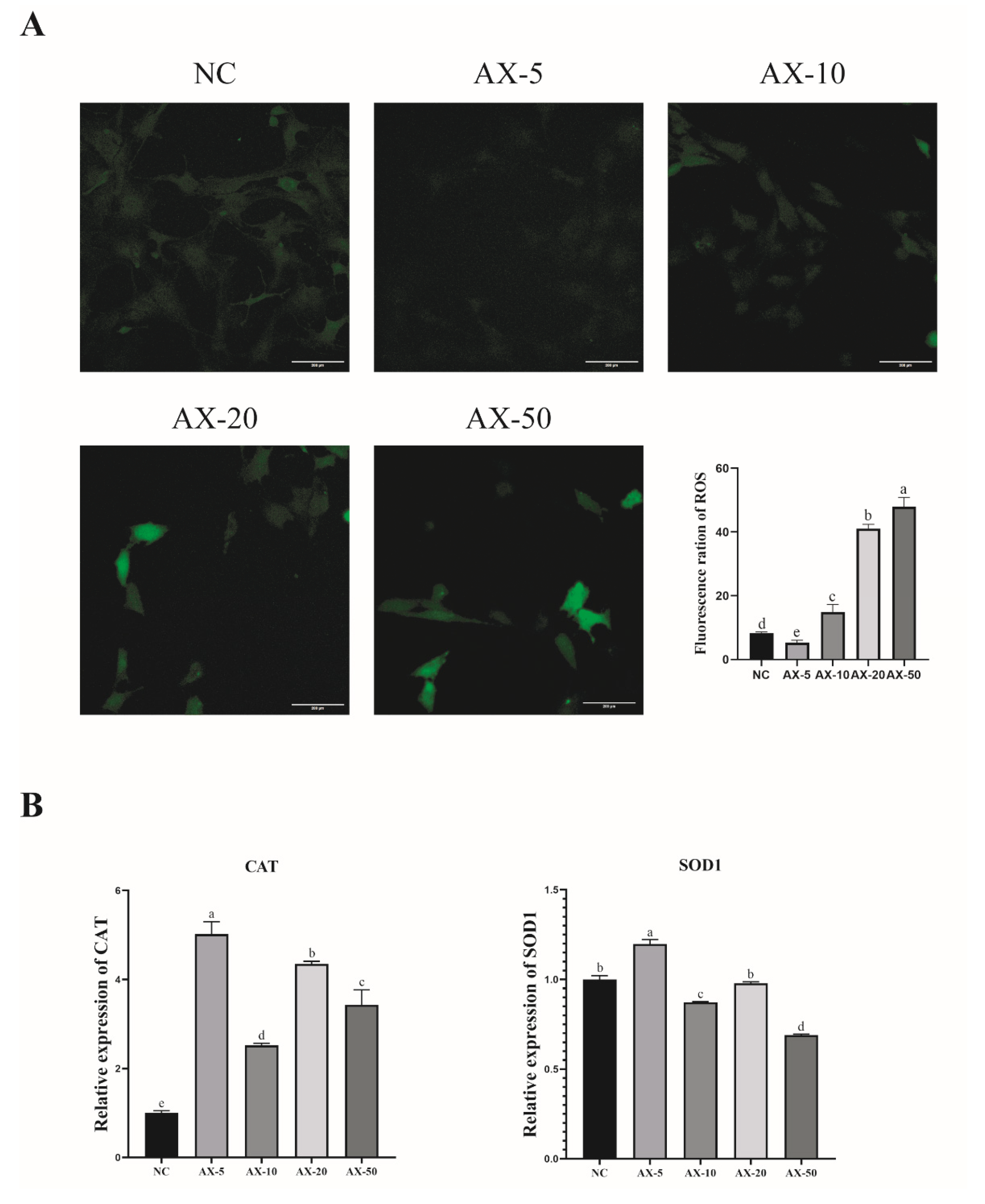Antioxidants 13 01185 g006 Antioxidants 13 01185 g006