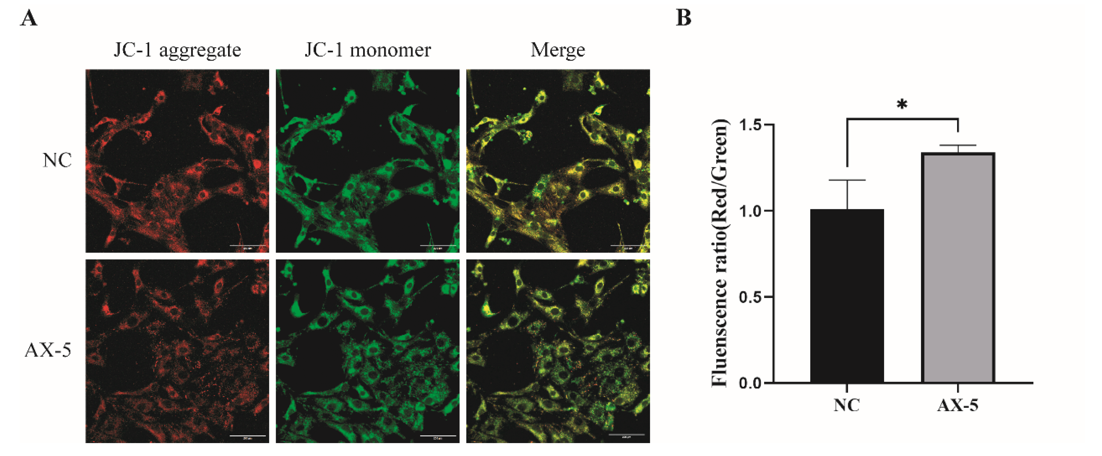 Antioxidants 13 01185 g007 Antioxidants 13 01185 g007