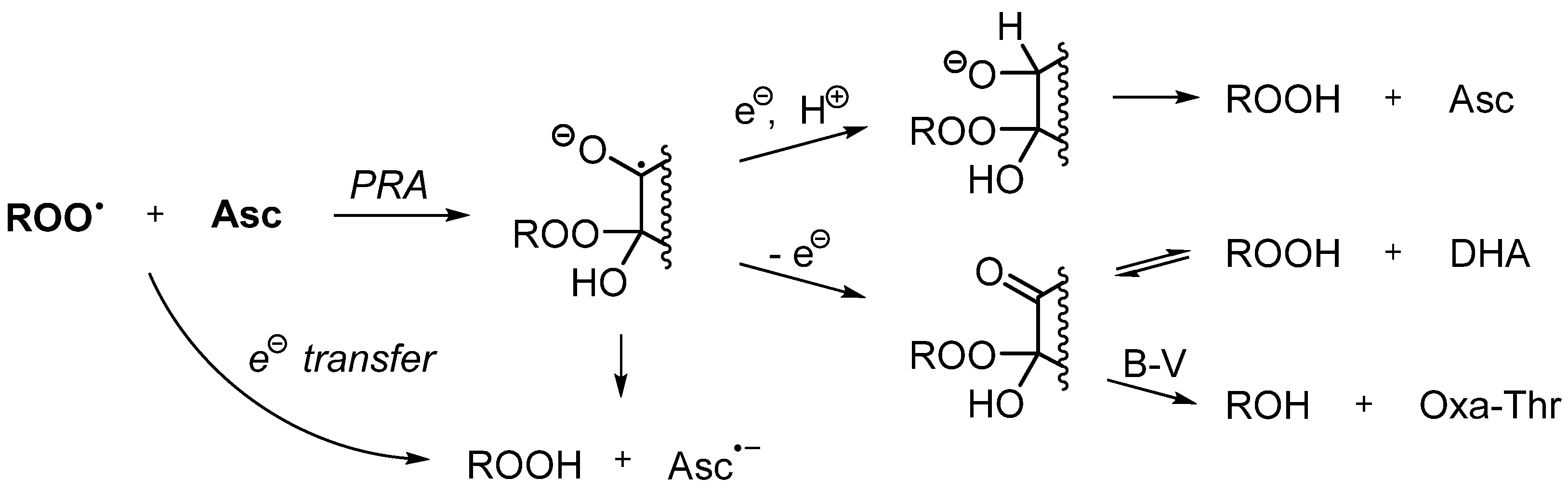 Antioxidants 13 01194 sch004