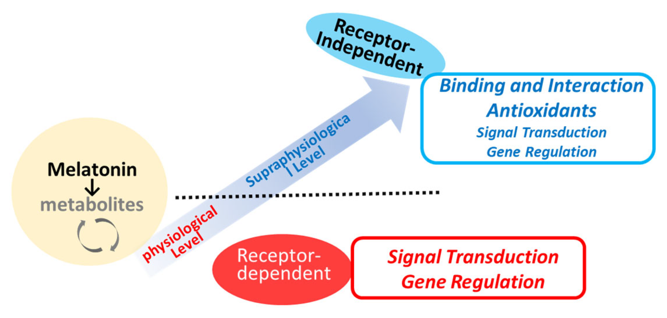 Antioxidants 13 01197 g003