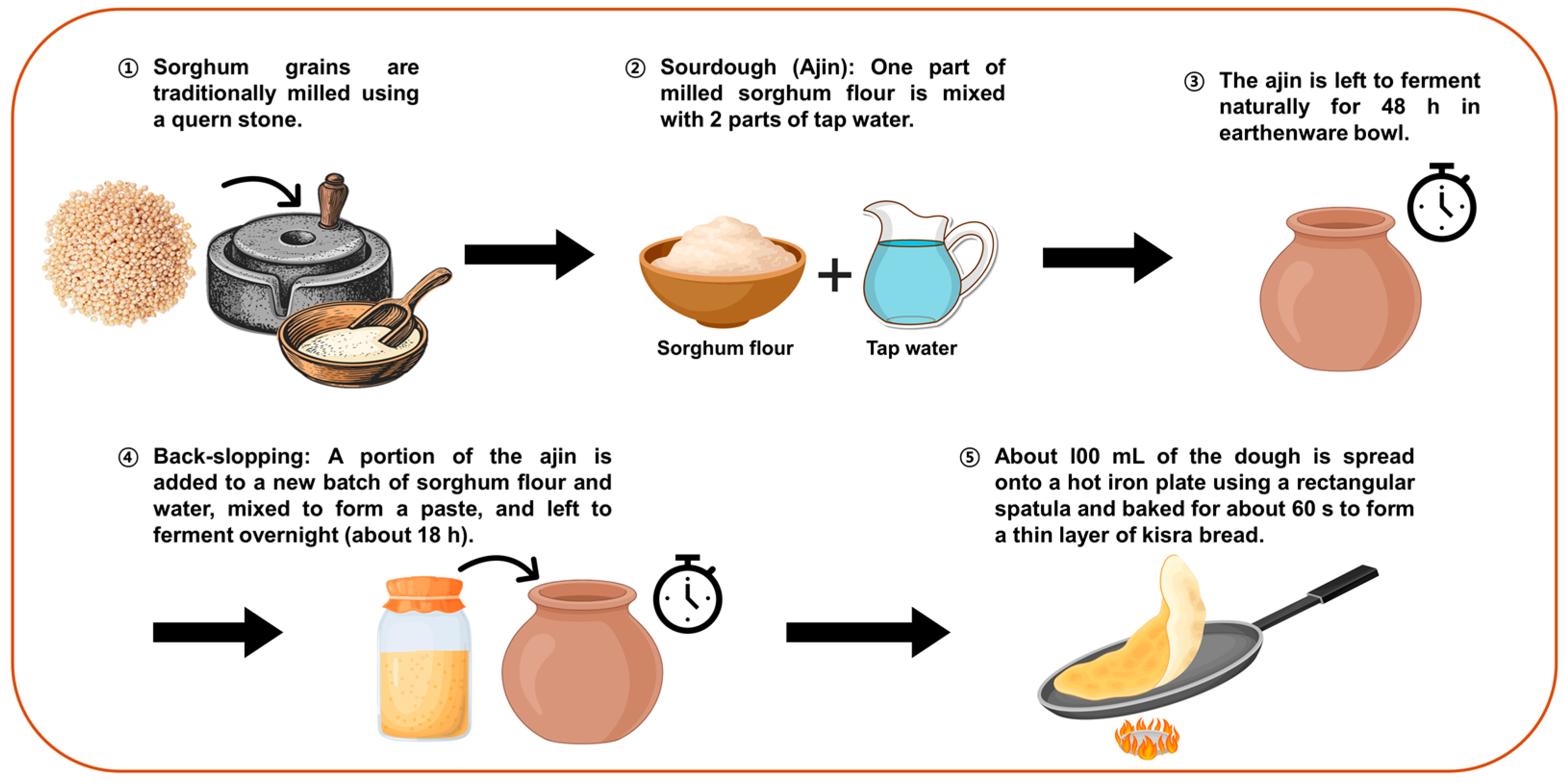 Antioxidants 13 01204 g001