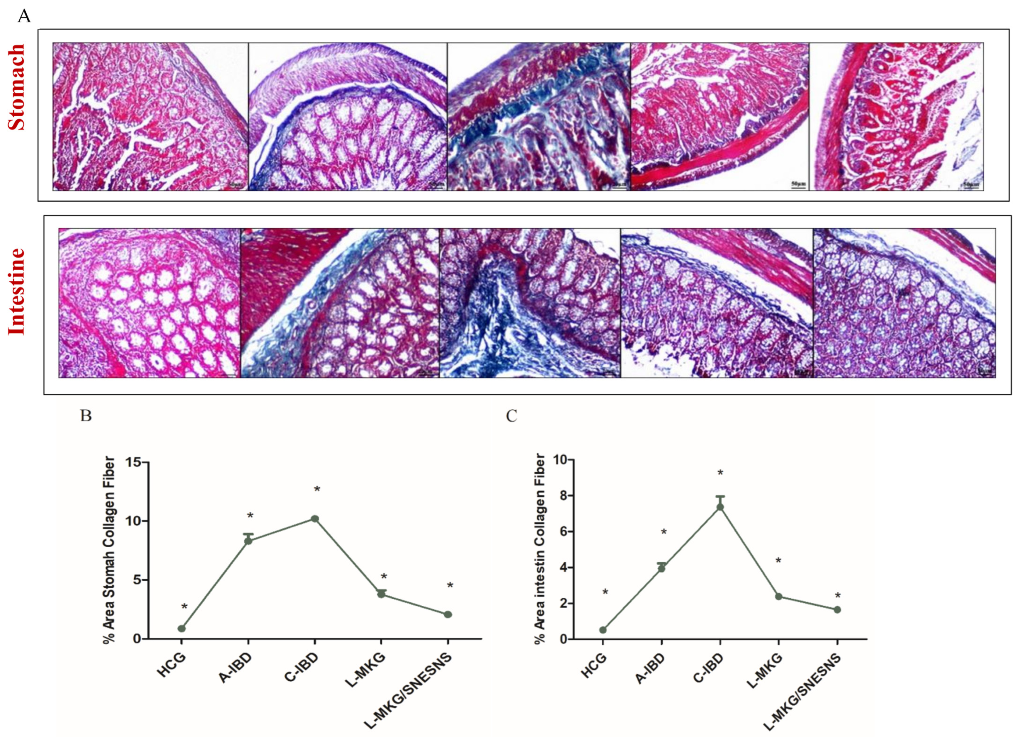 Antioxidants 13 01205 g011