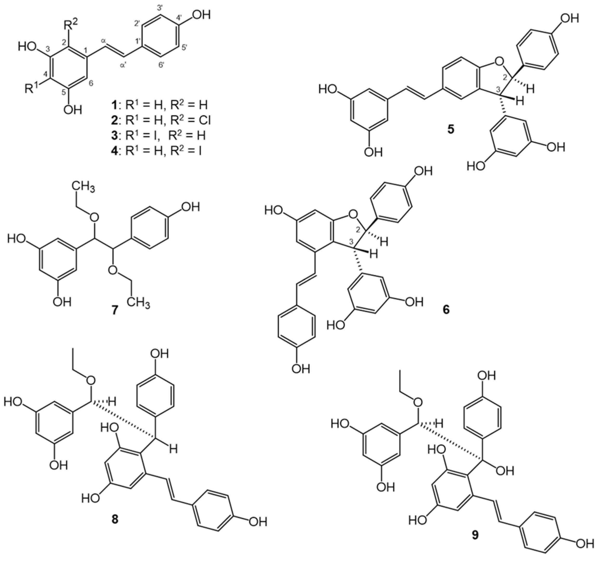 Antioxidants 13 01206 g001