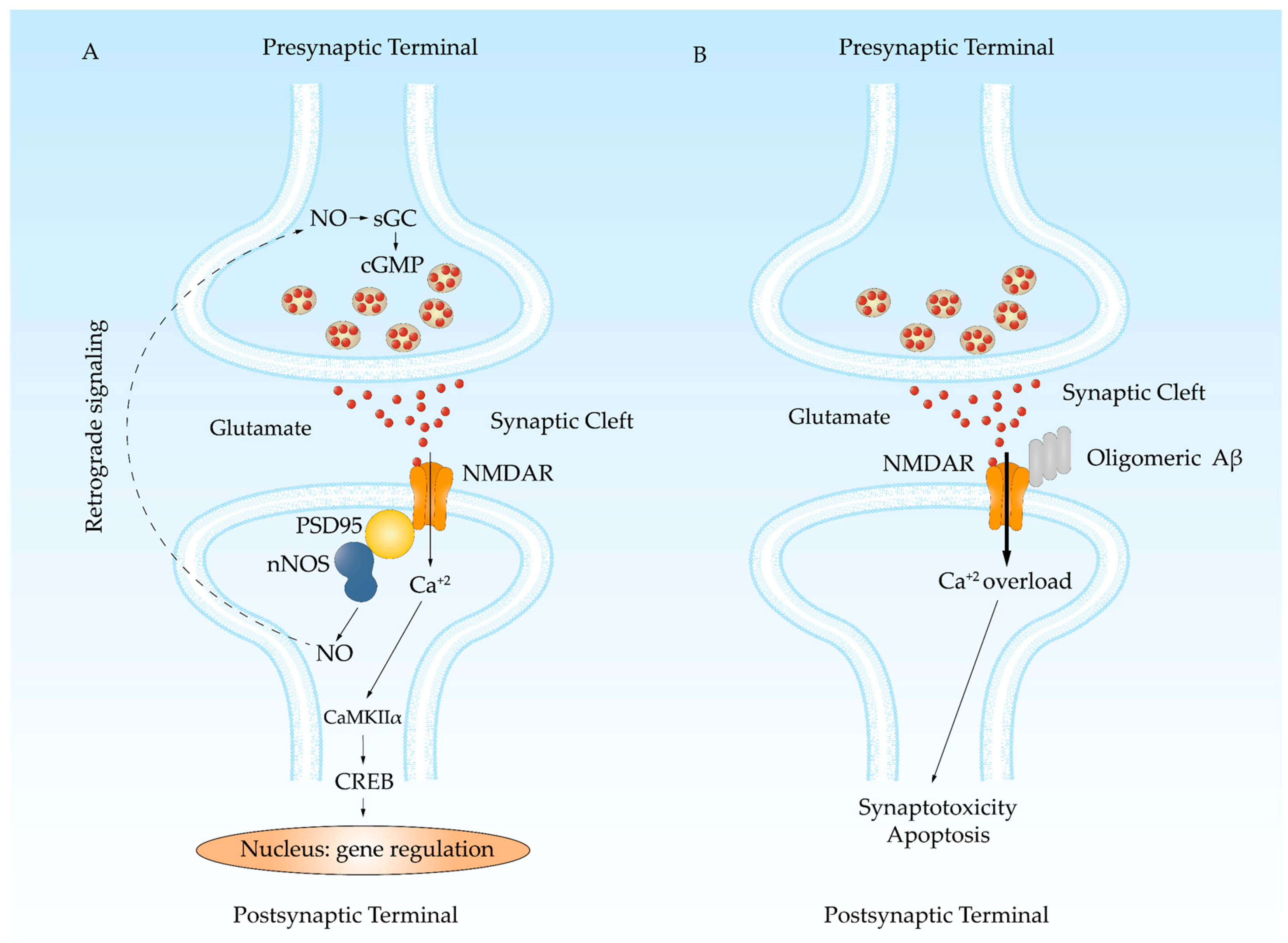 Antioxidants 13 01208 g003