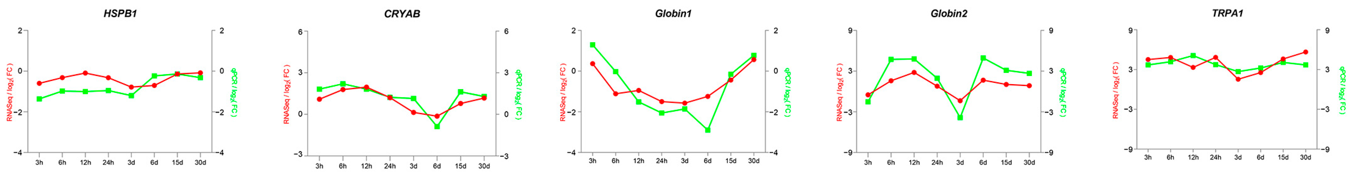 Antioxidants 13 01217 g009 Antioxidants 13 01217 g009