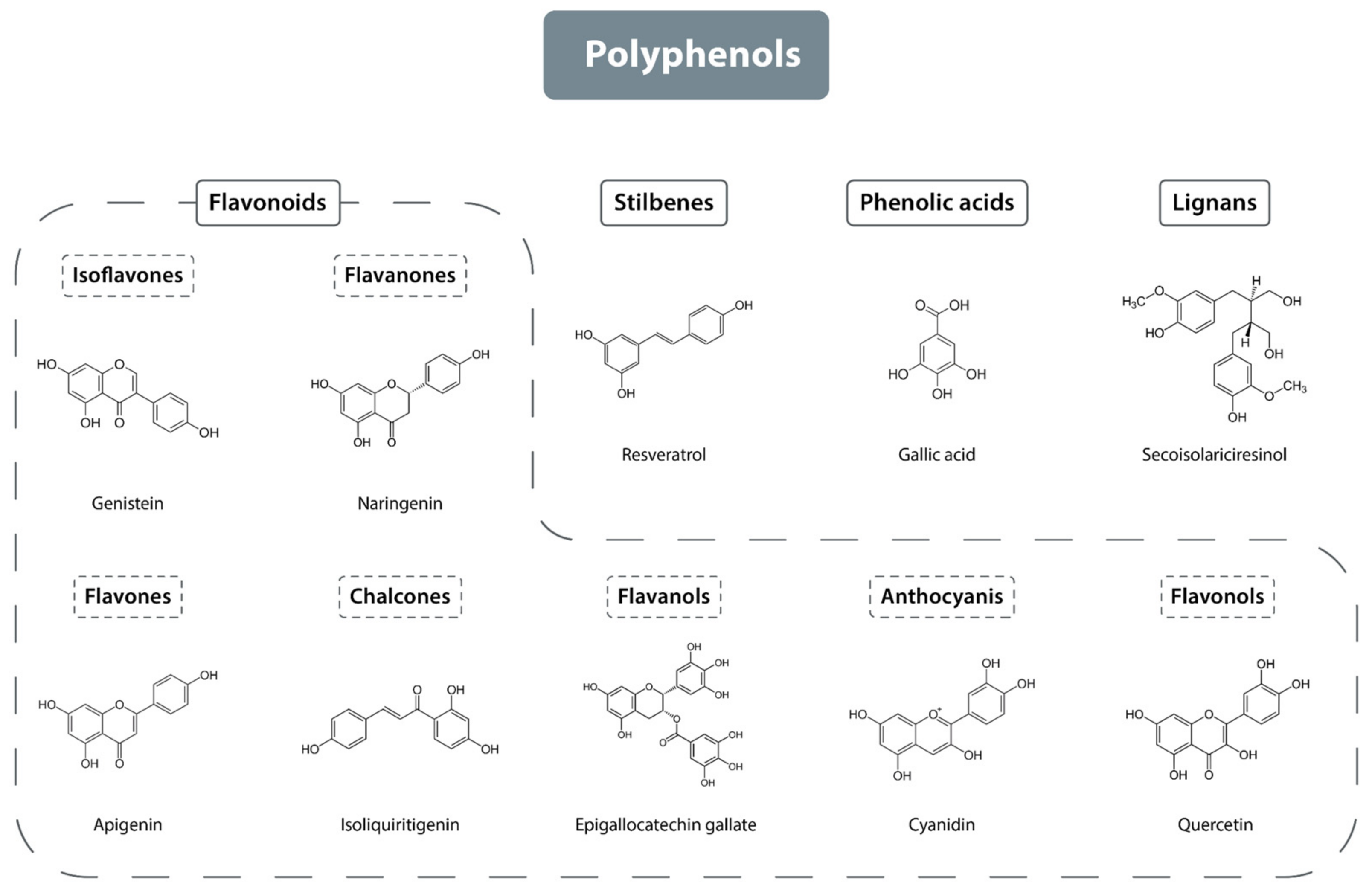 Antioxidants 13 01220 g001