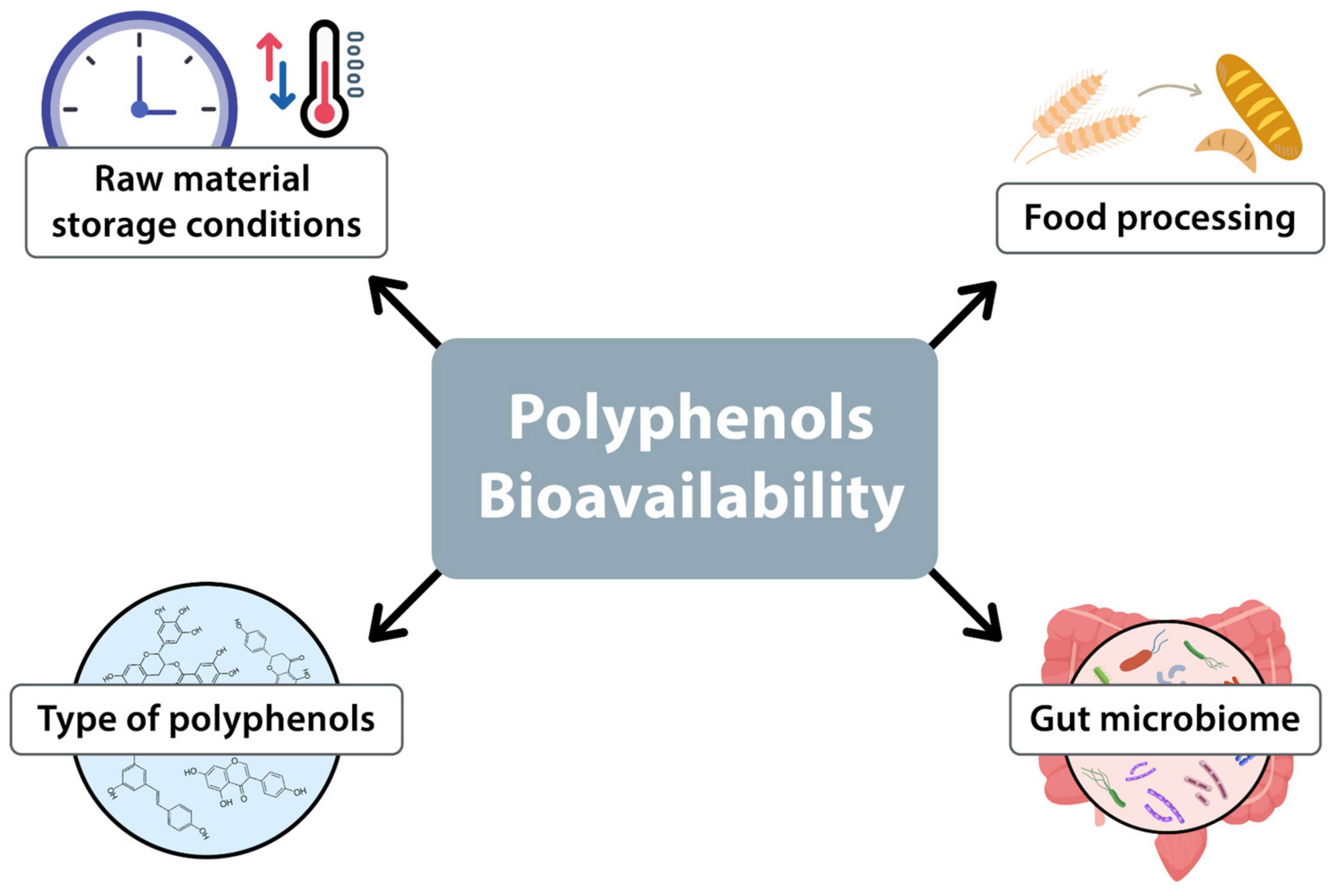 Antioxidants 13 01220 g002