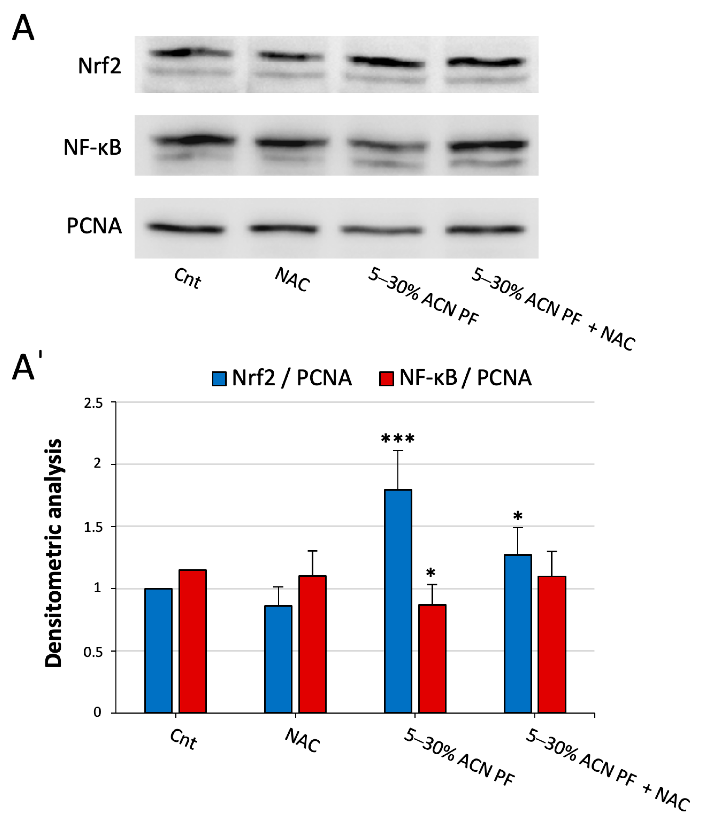 Antioxidants 13 01221 g003