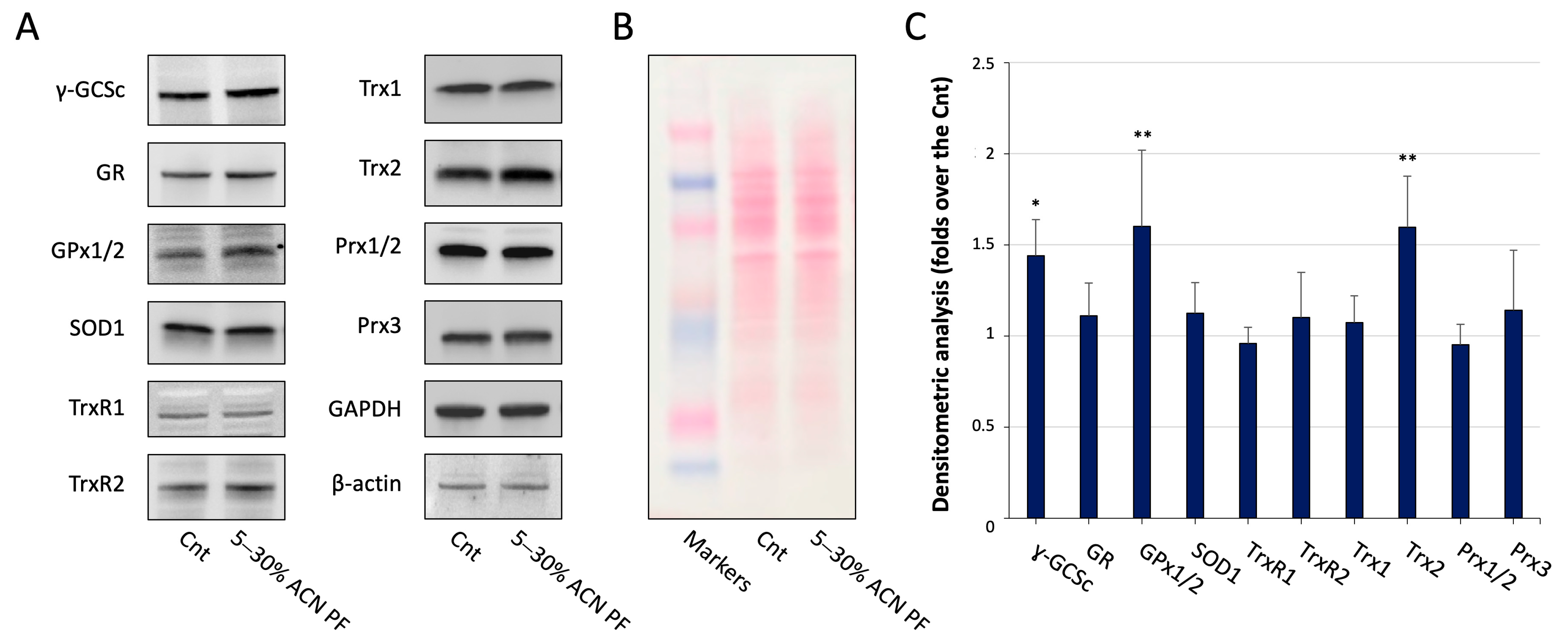 Antioxidants 13 01221 g004