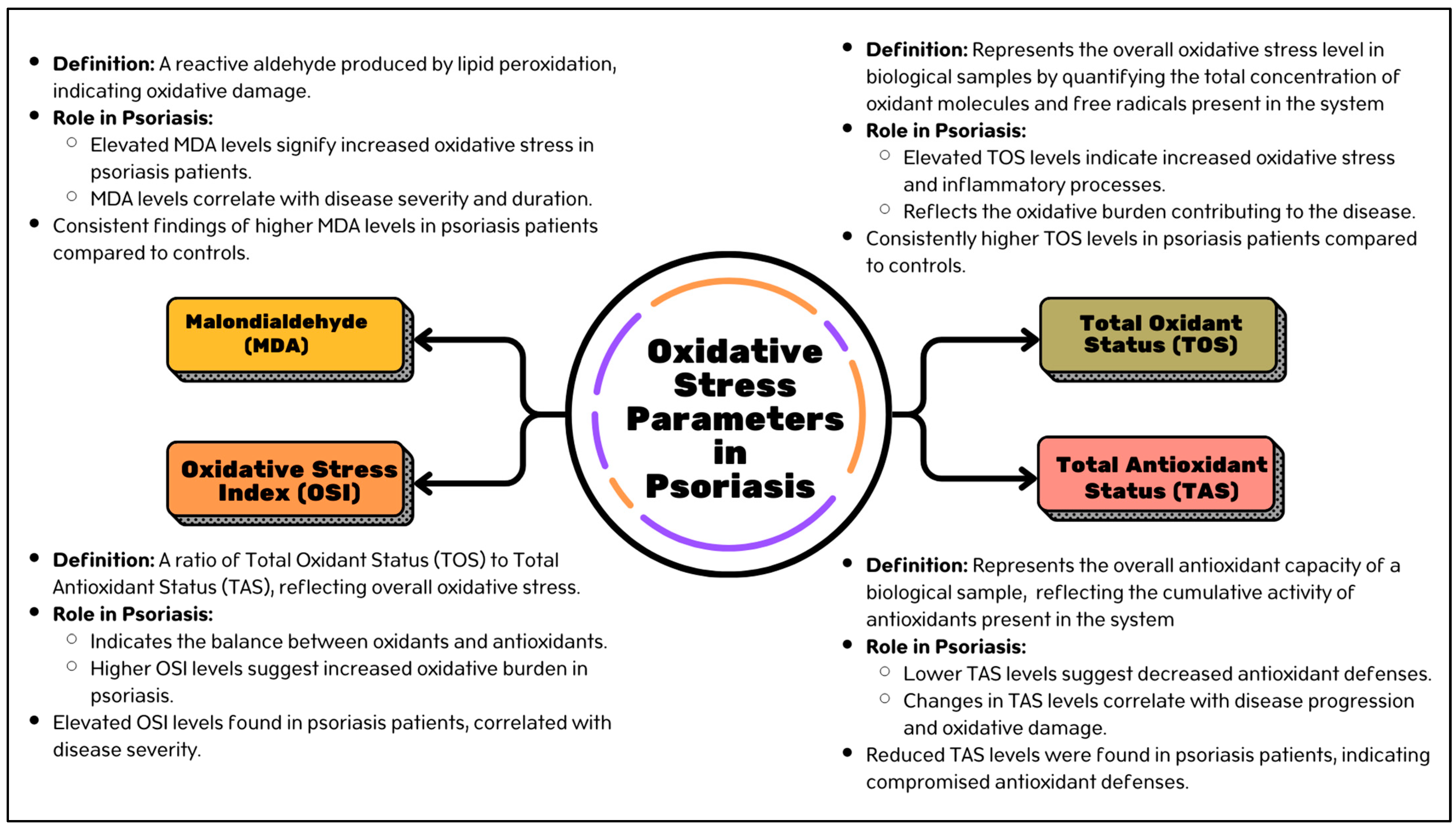 Antioxidants 13 01222 g002